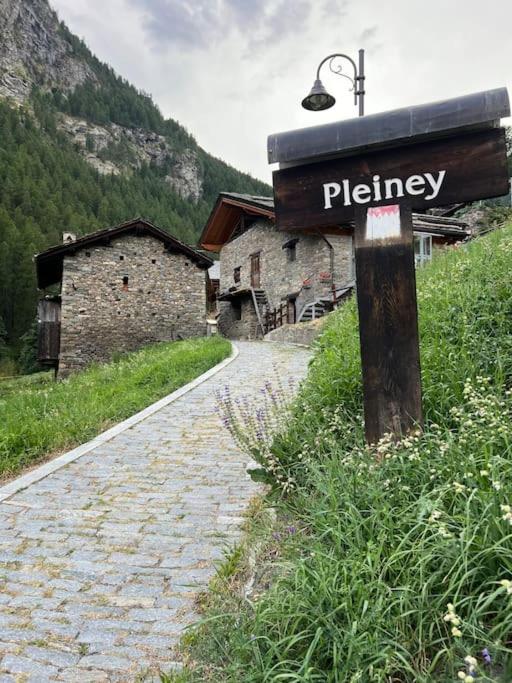 Grandze du Pleiney view 2