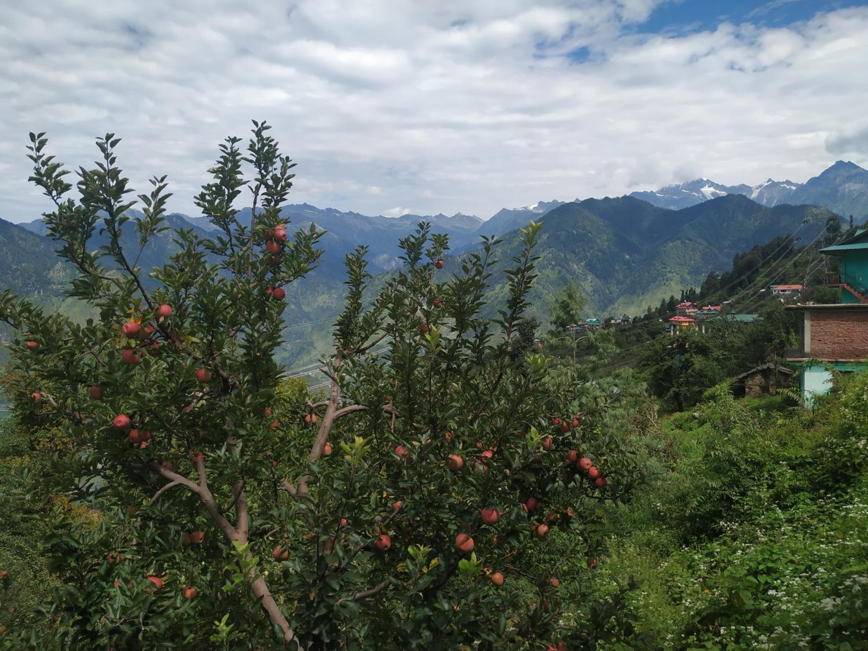 The Heritage, Sarahan view 5