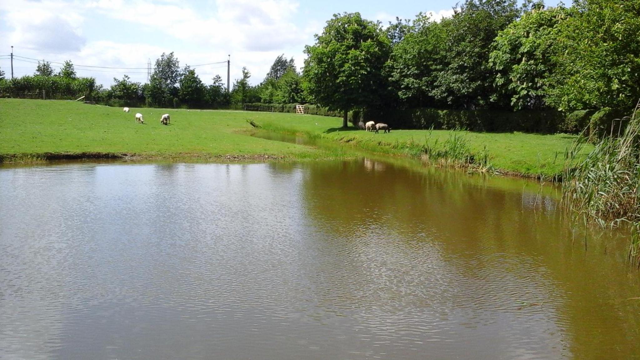 B&B De Hulst