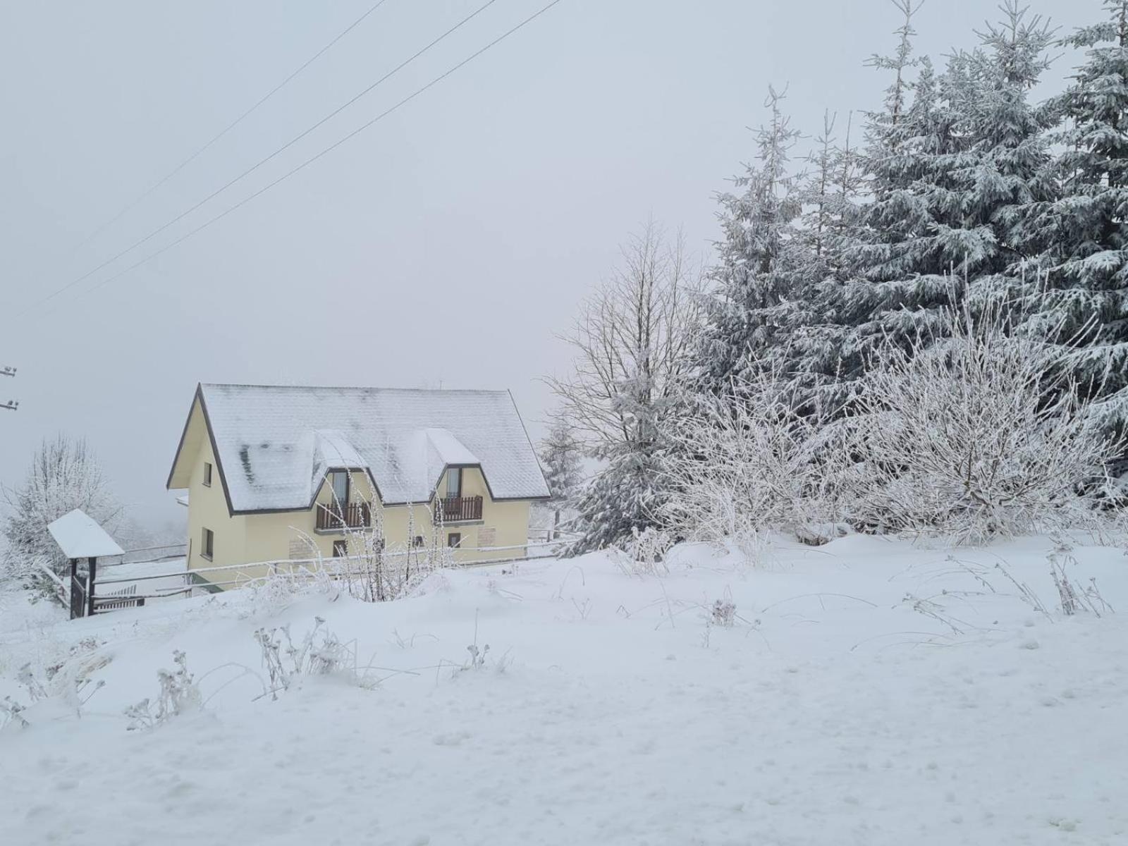 Photo 45