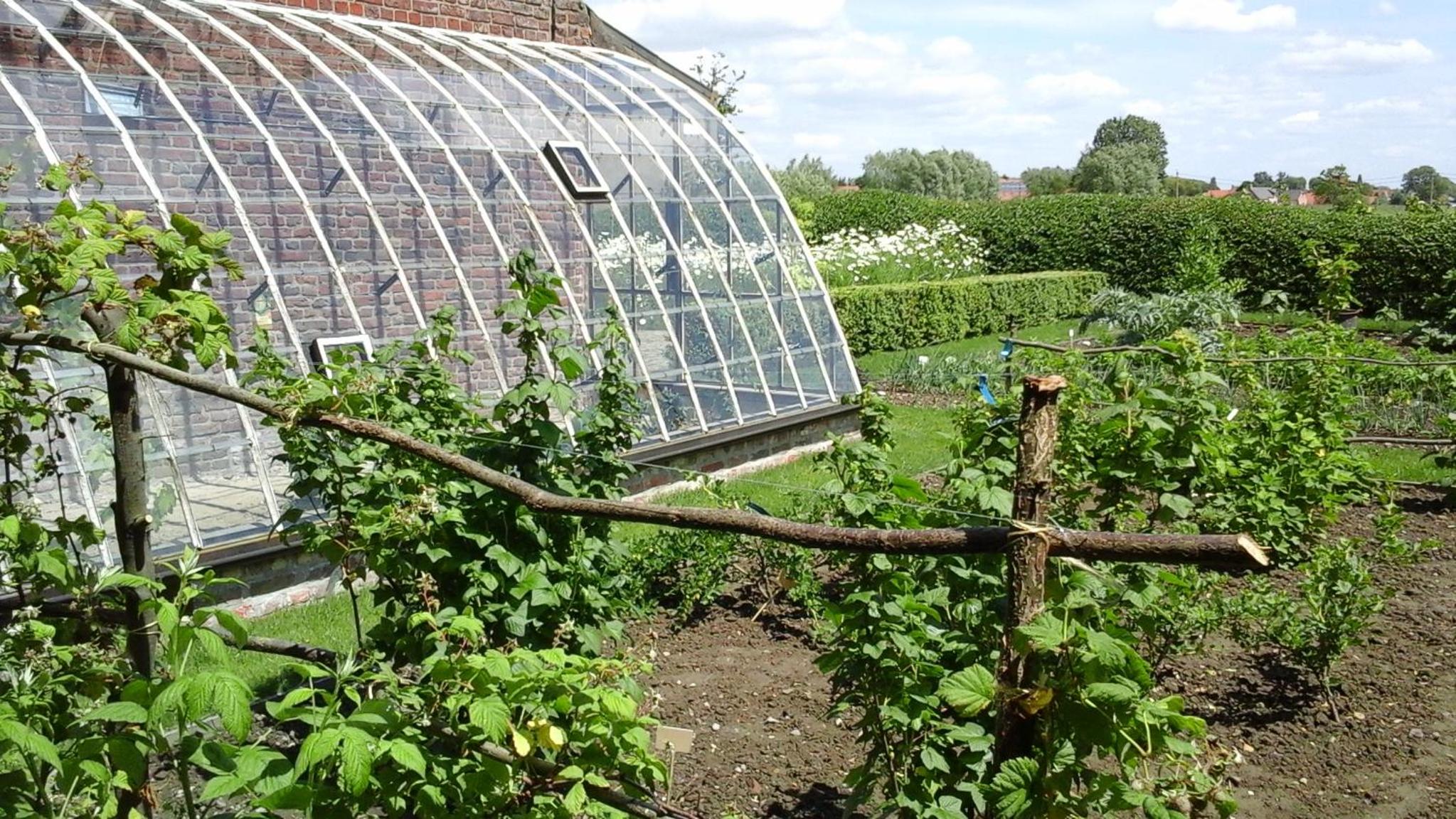 B&B De Hulst