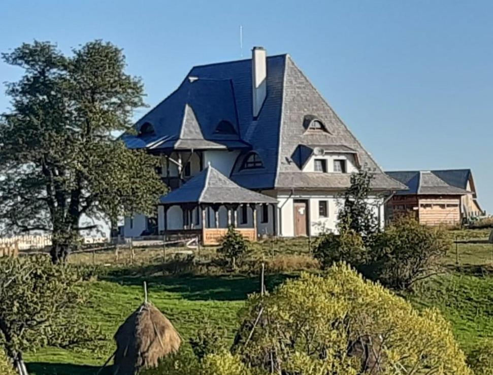 Pensiunea Poiana Vlădesei view 5