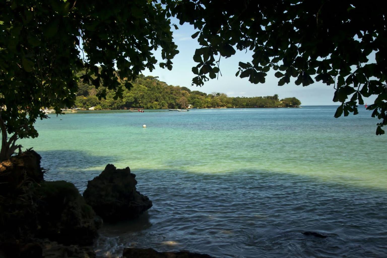 Mi casa es tu casa- Glamping y Casa de Campo