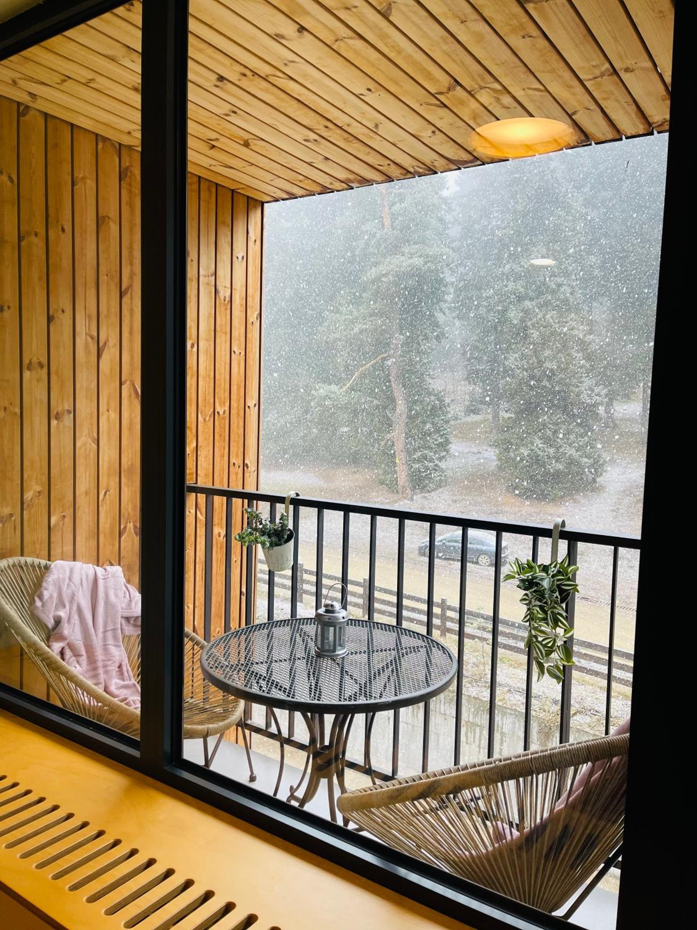 N 406 Kokhta Mitarbi / N 406 კოხტა მიტარბი view 2
