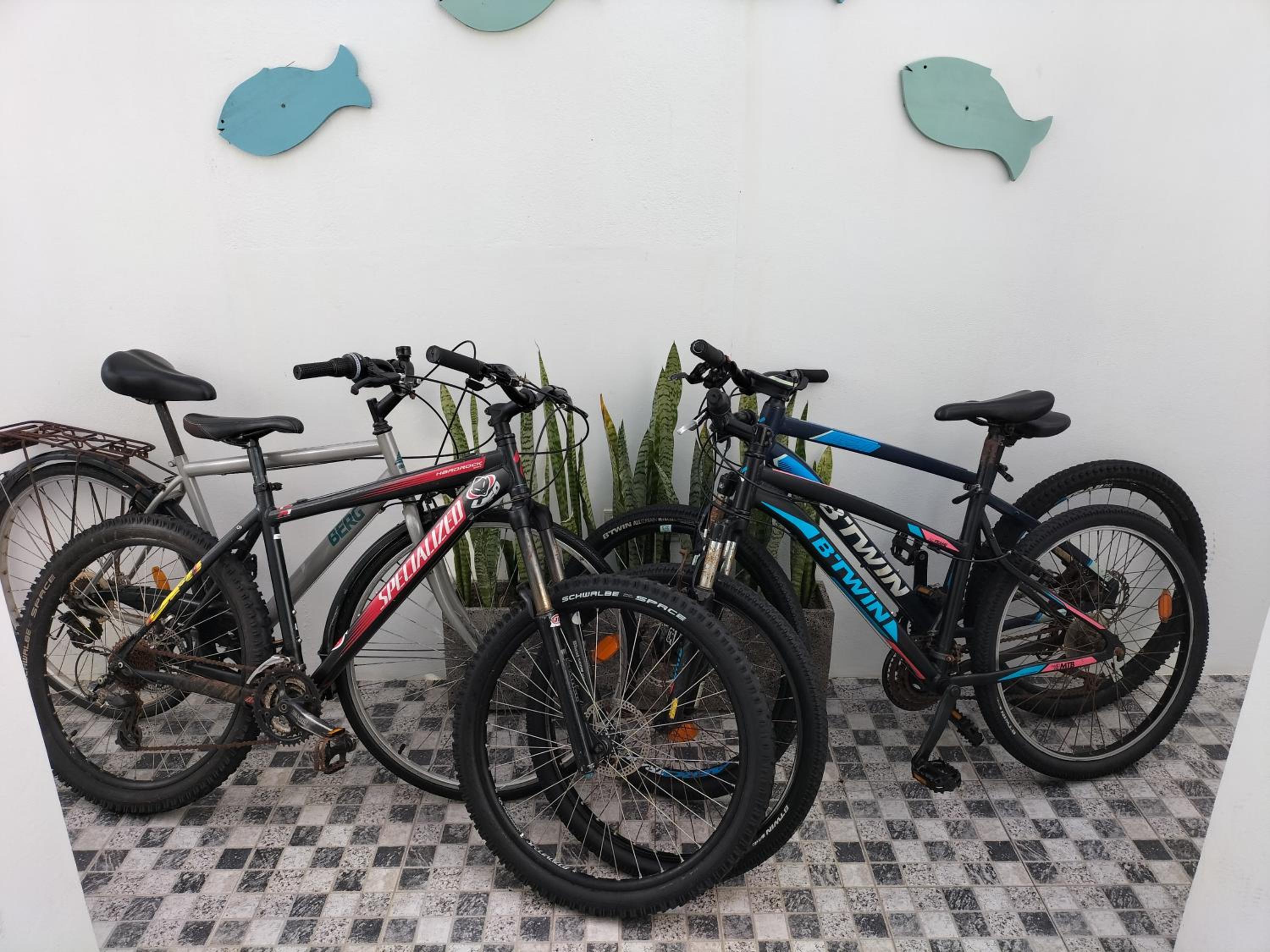 activities & amenities