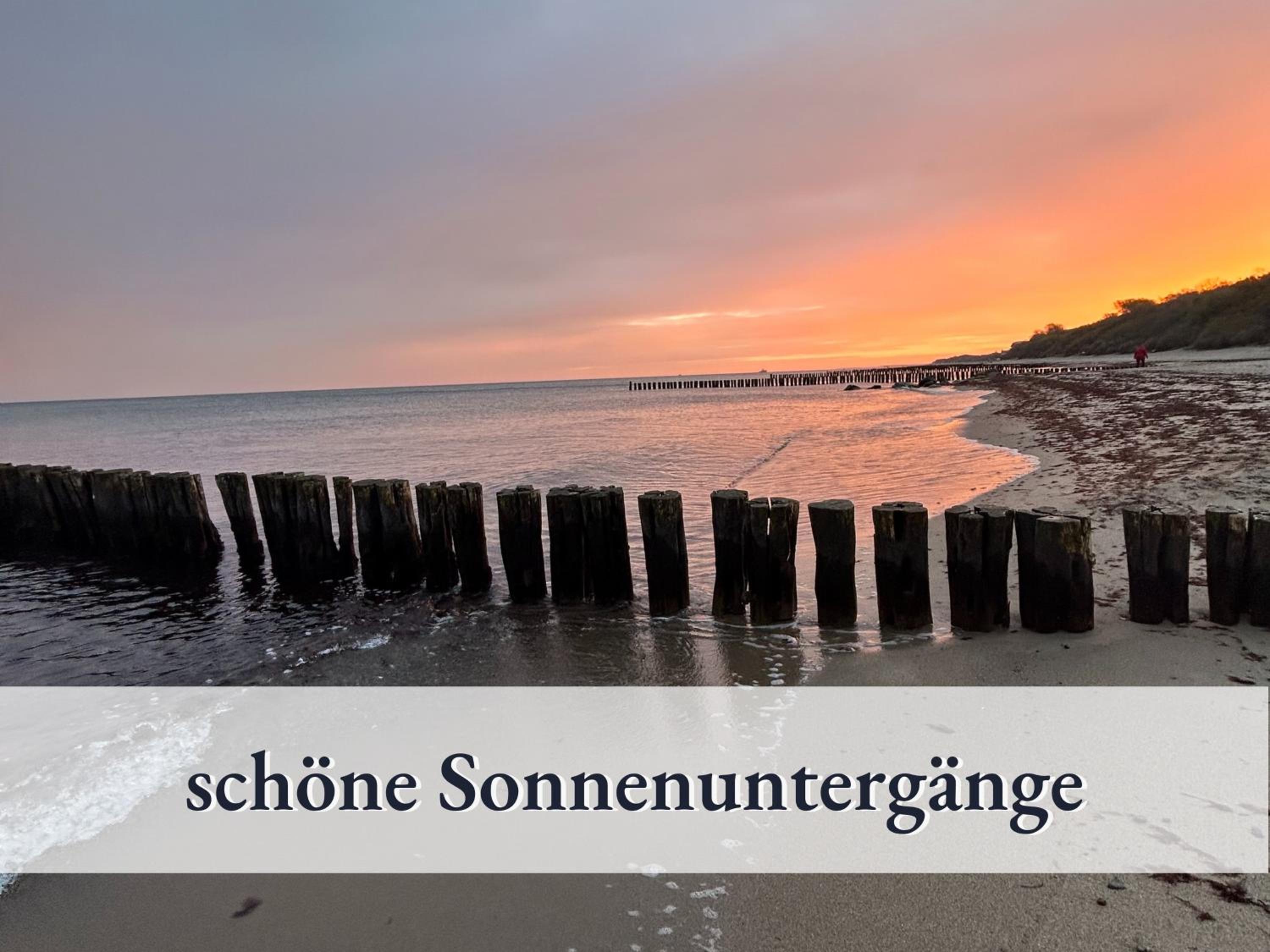 3 Zimmer App Dünengarten Fewo 58