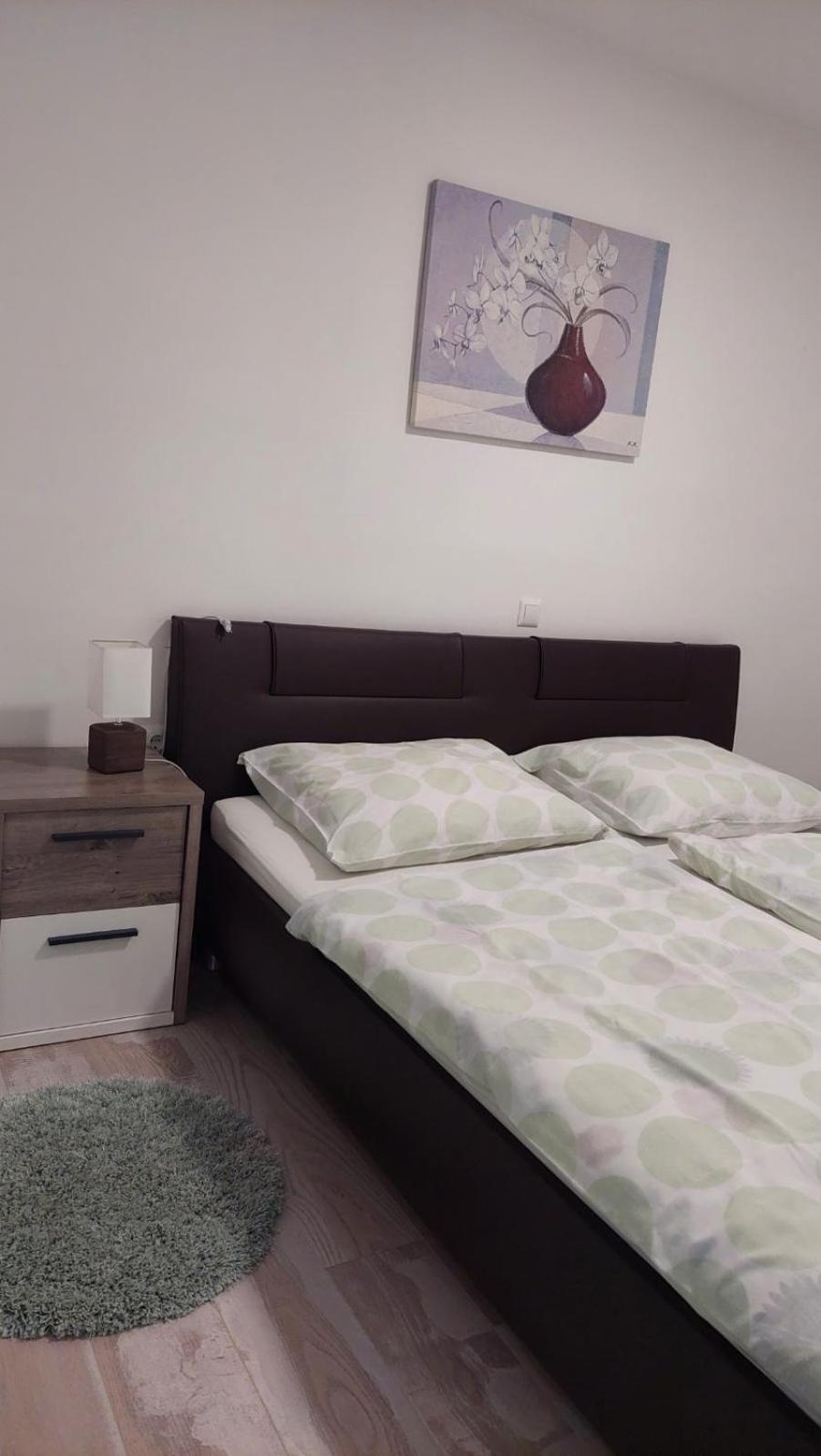 Apartma Stela in Terme Čatež view 2