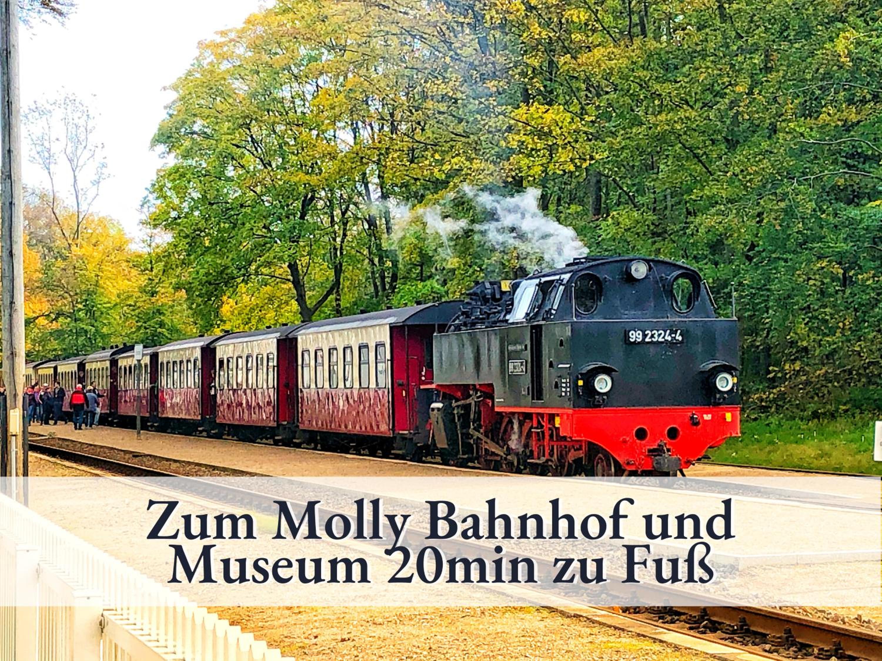 3 Zimmer App Dünengarten Fewo 58