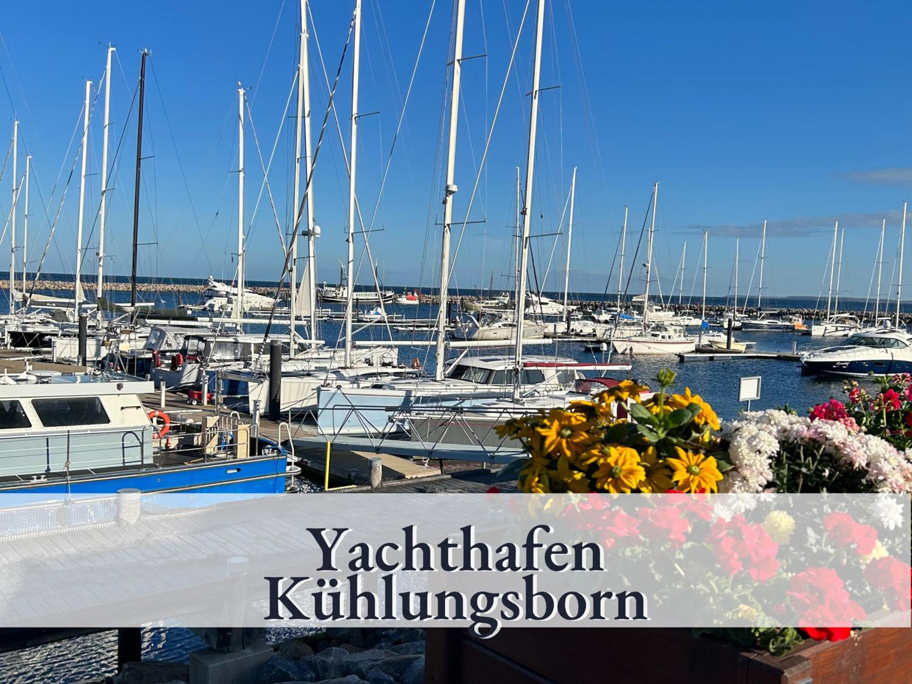 3 Zimmer App Dünengarten Fewo 58