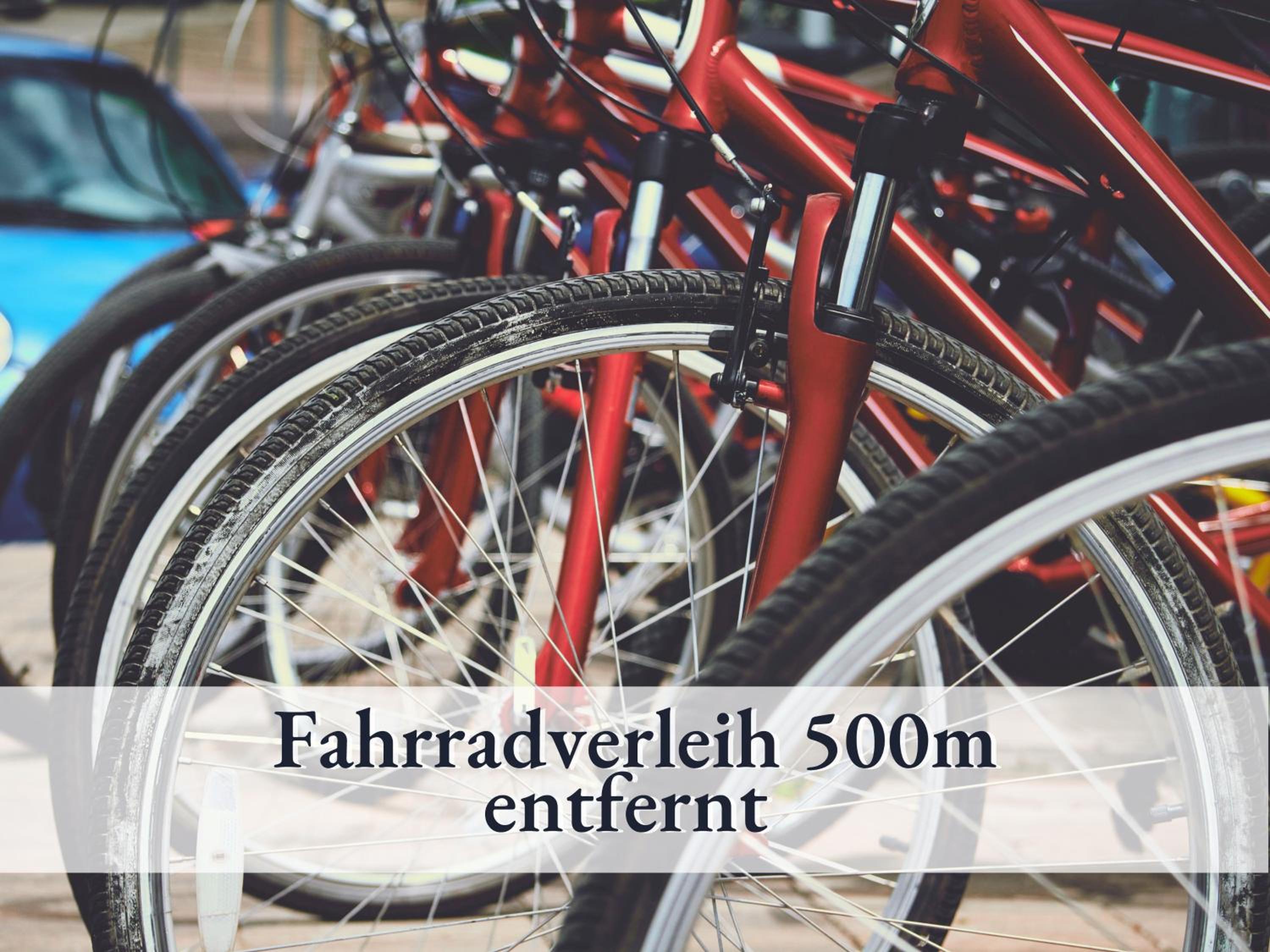 3 Zimmer App Dünengarten Fewo 58