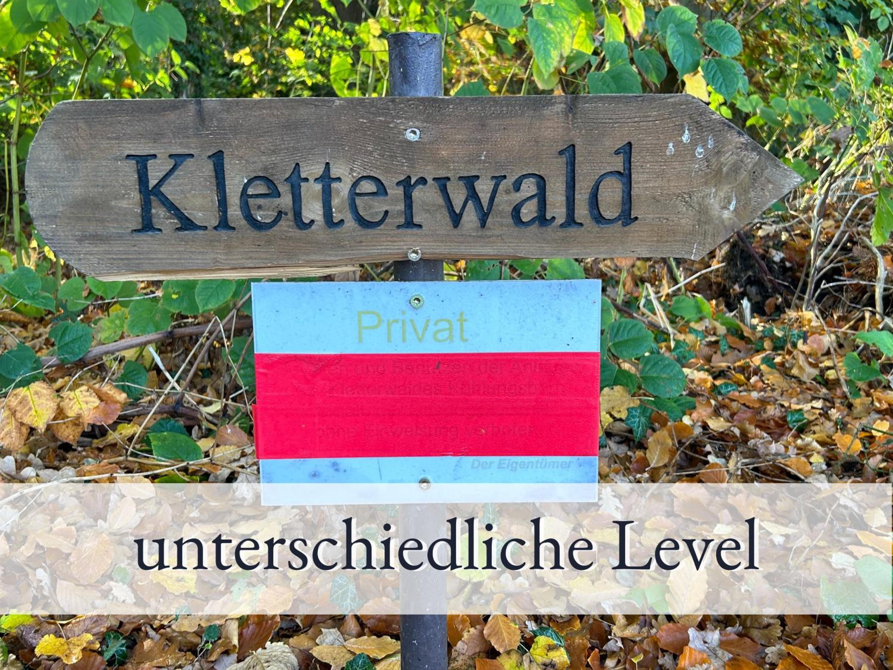 3 Zimmer App Dünengarten Fewo 58