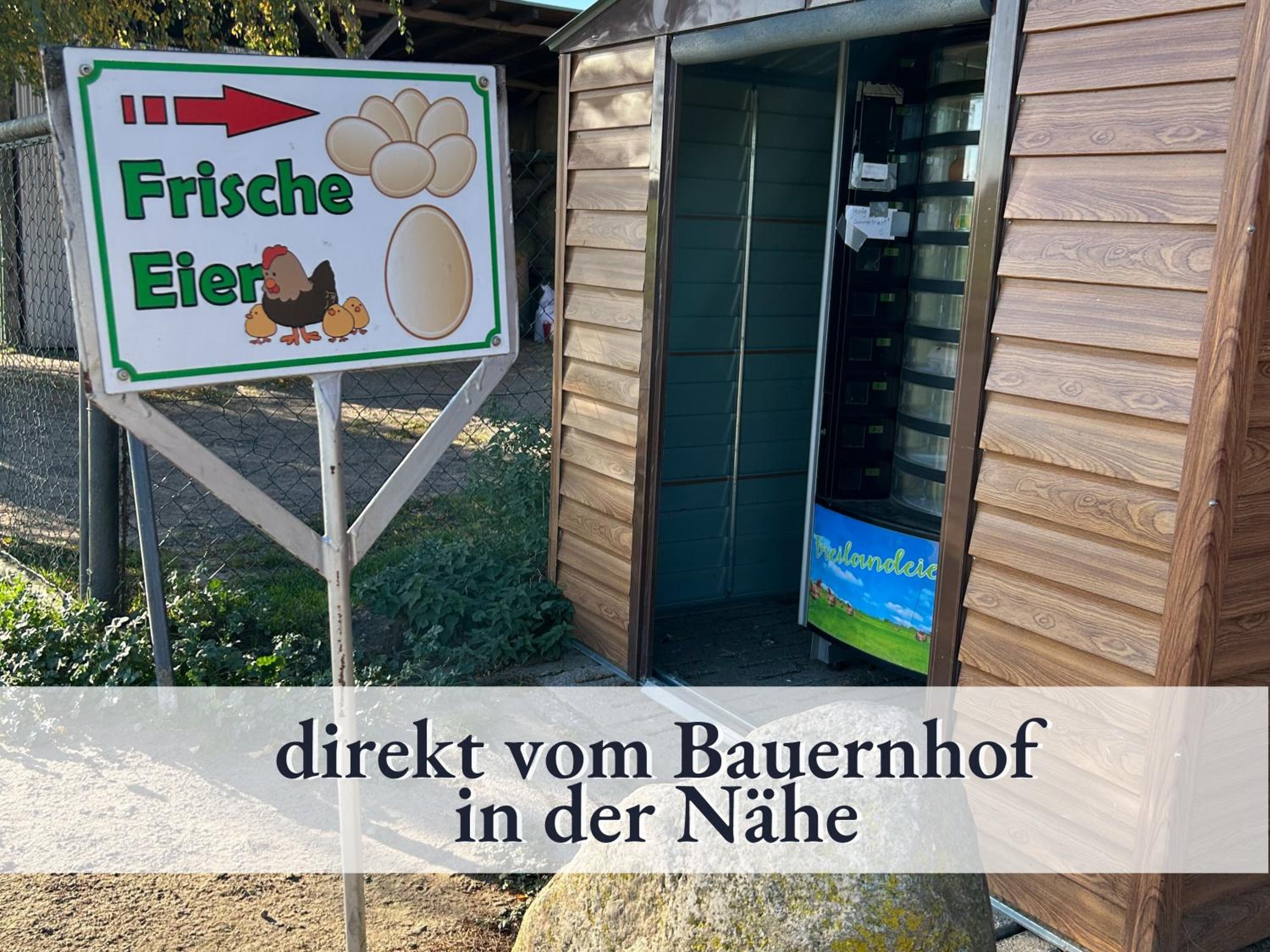 3 Zimmer App Dünengarten Fewo 58