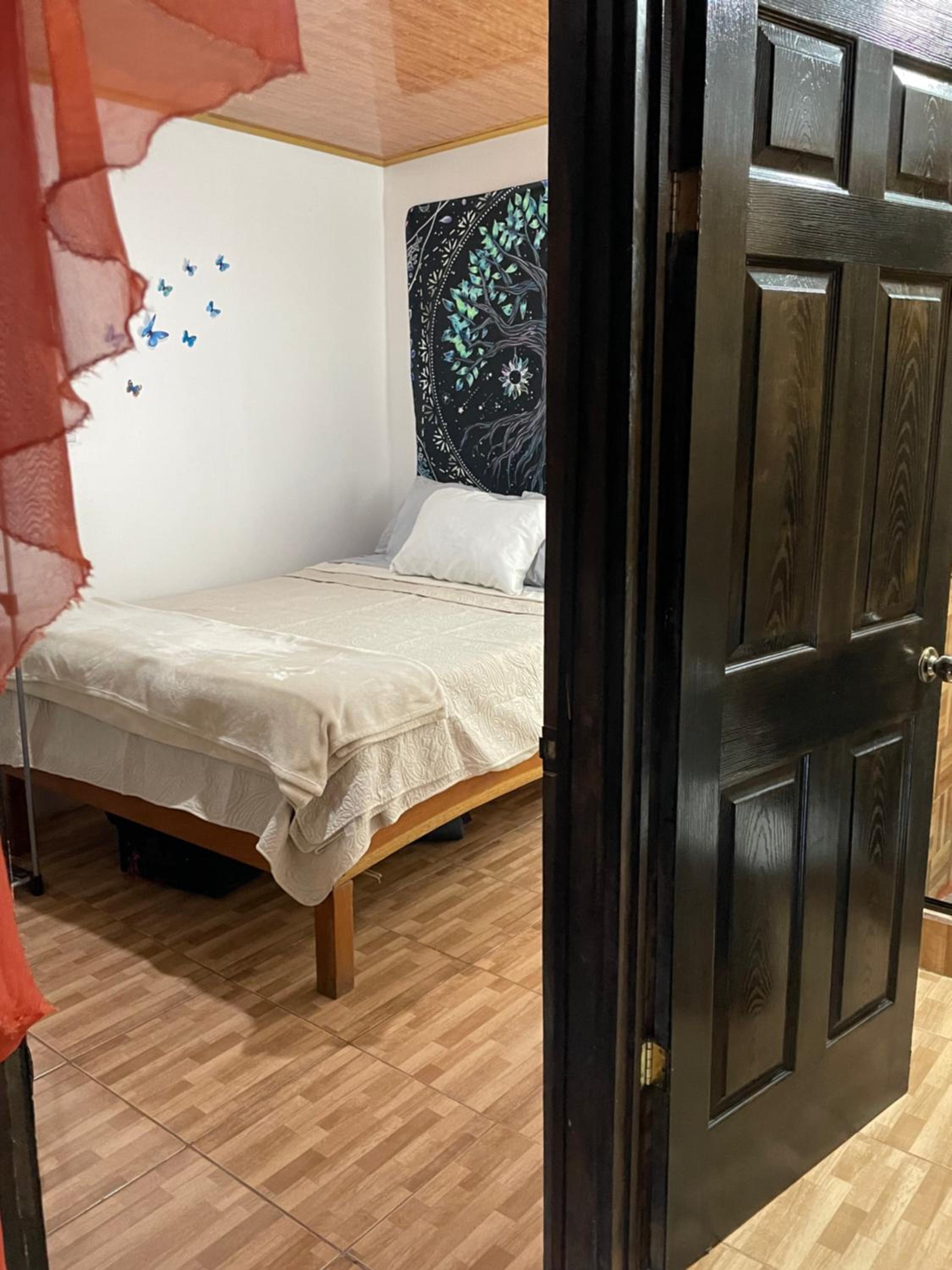 Nasua Apartment