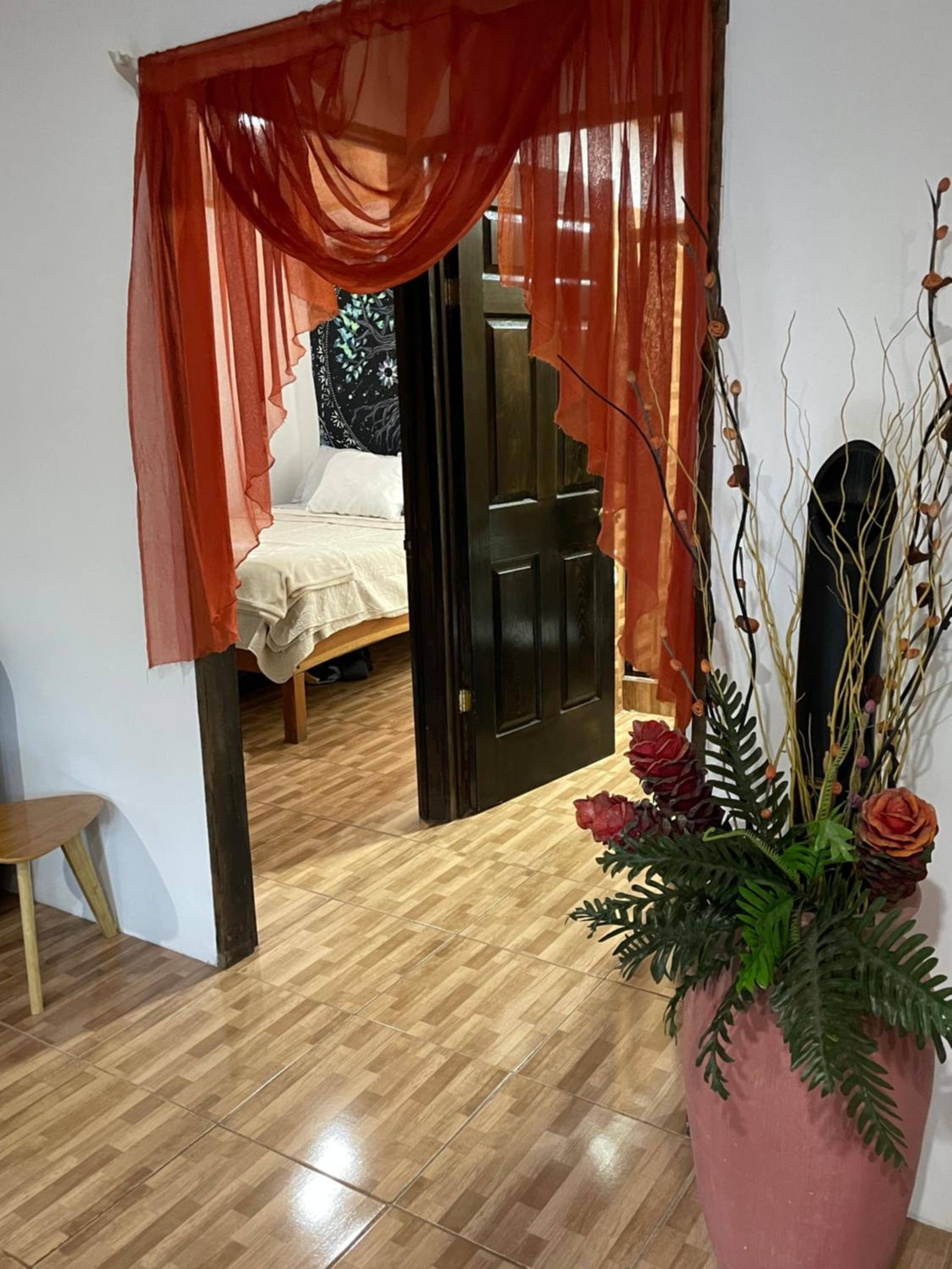 Nasua Apartment