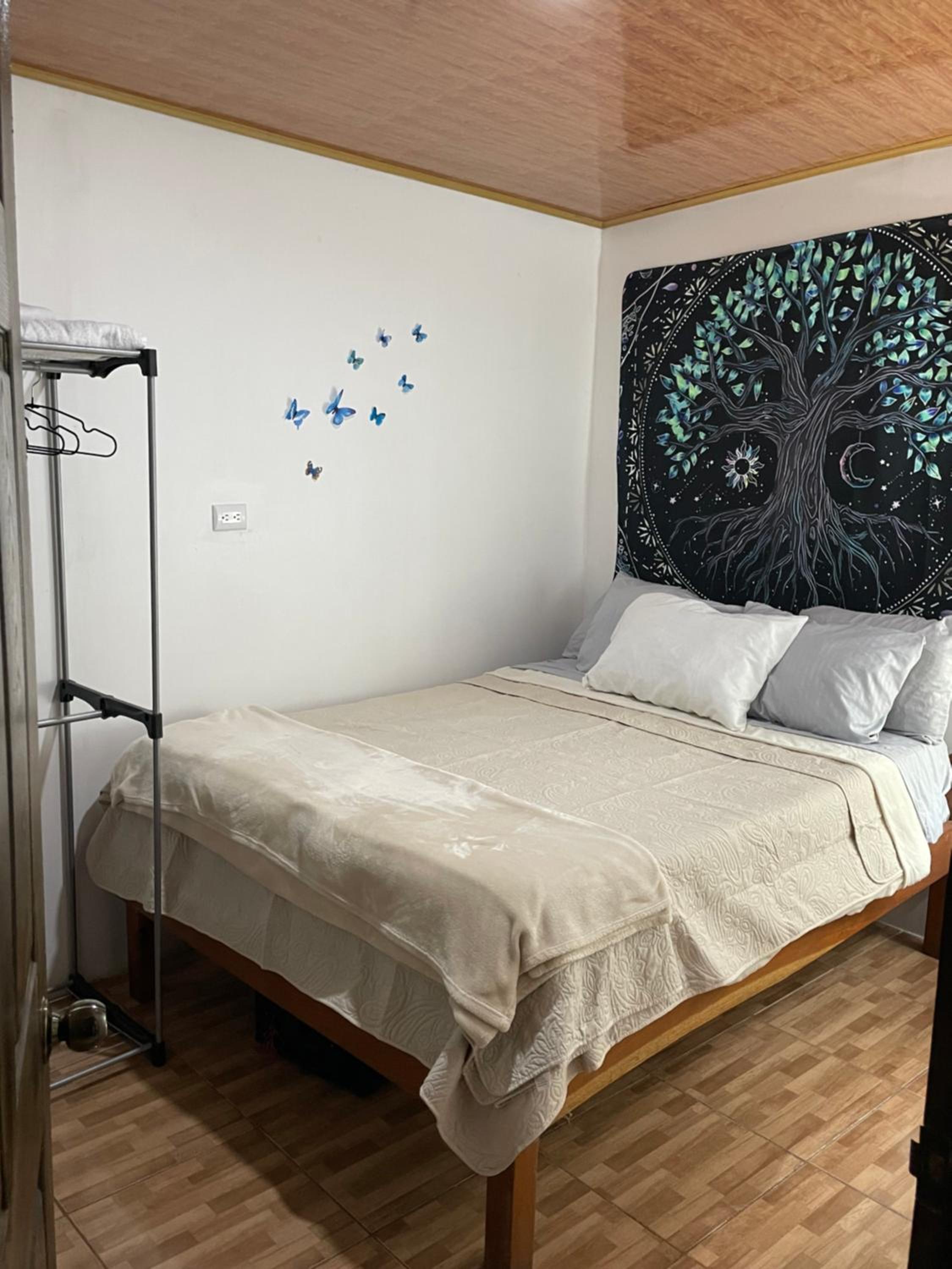 Nasua Apartment