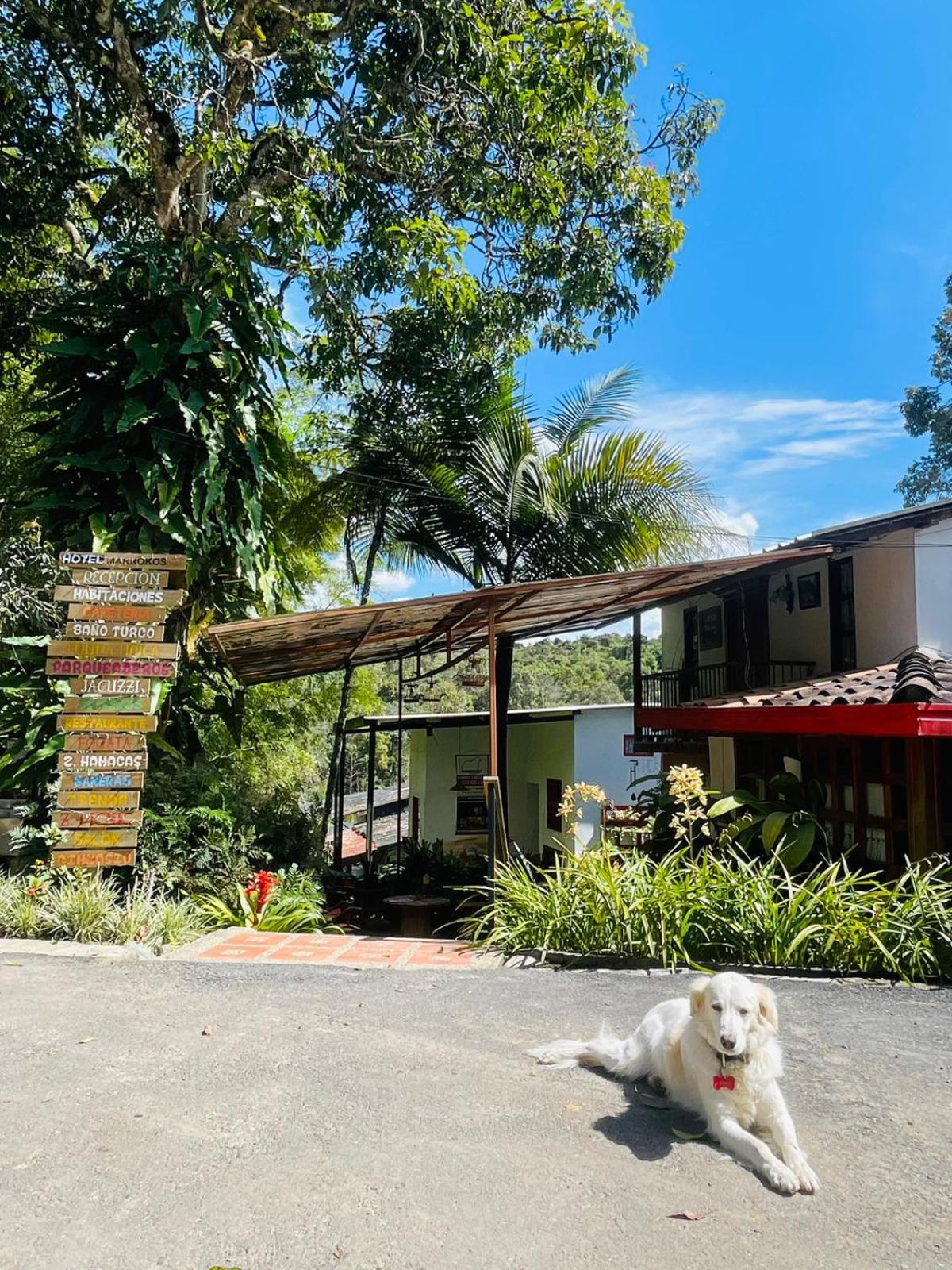 Hotel Marrokos Aeropuerto Jose Maria Cordova - Property Image 4