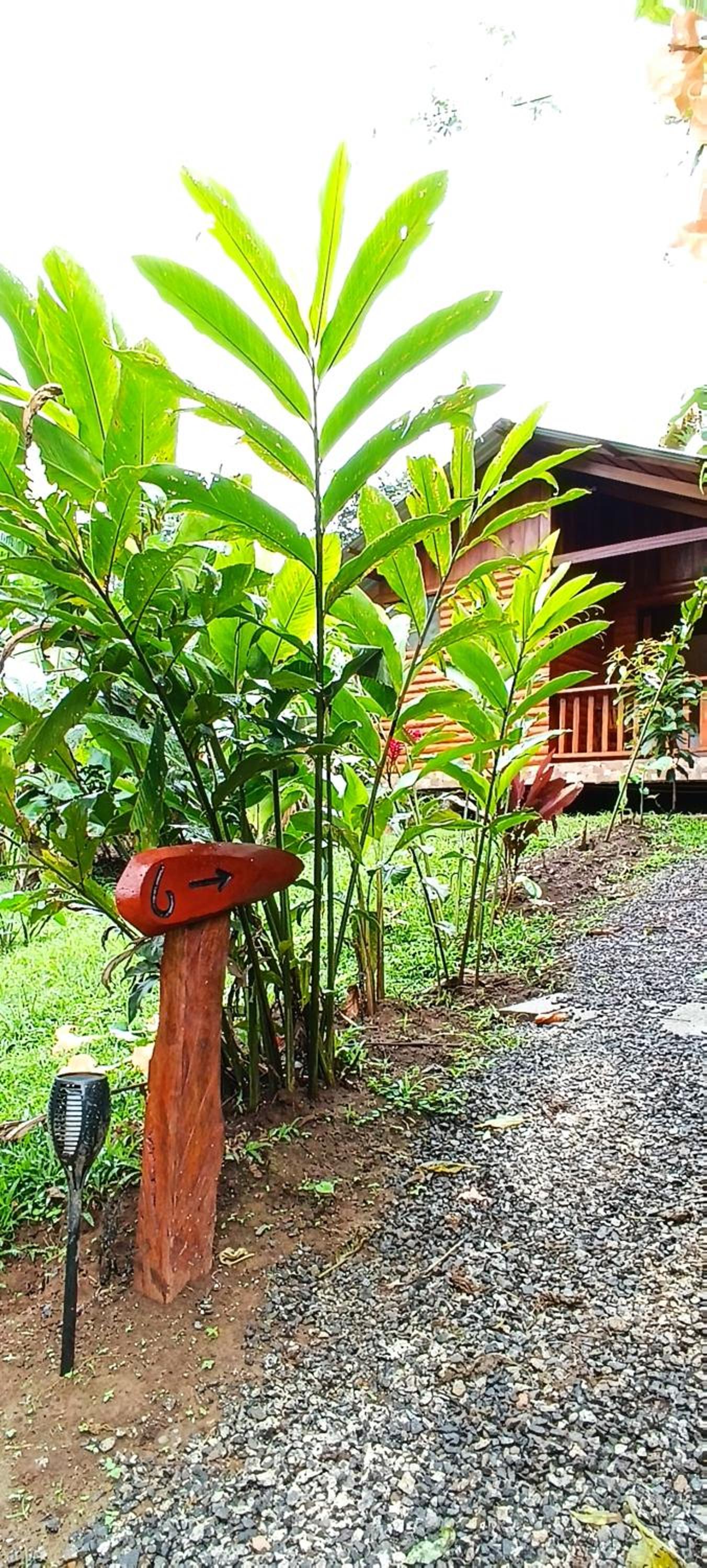 Arenal Rústic Lodge