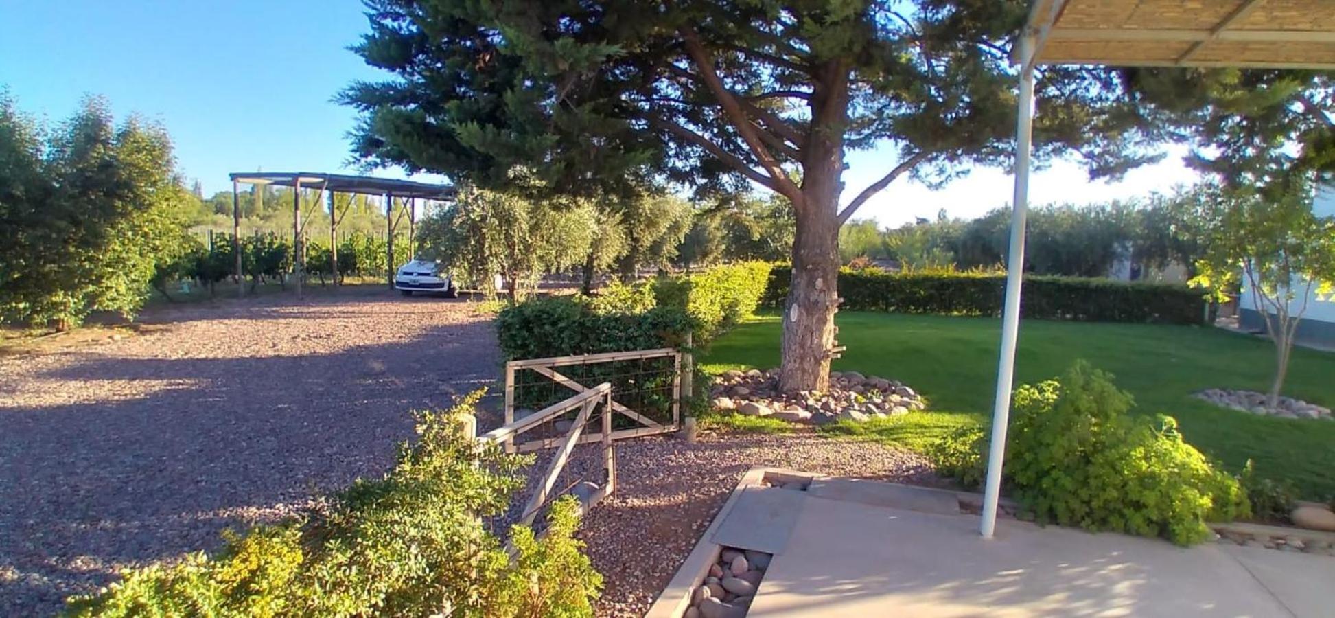 Boutique Vineyard and Wine Lodge