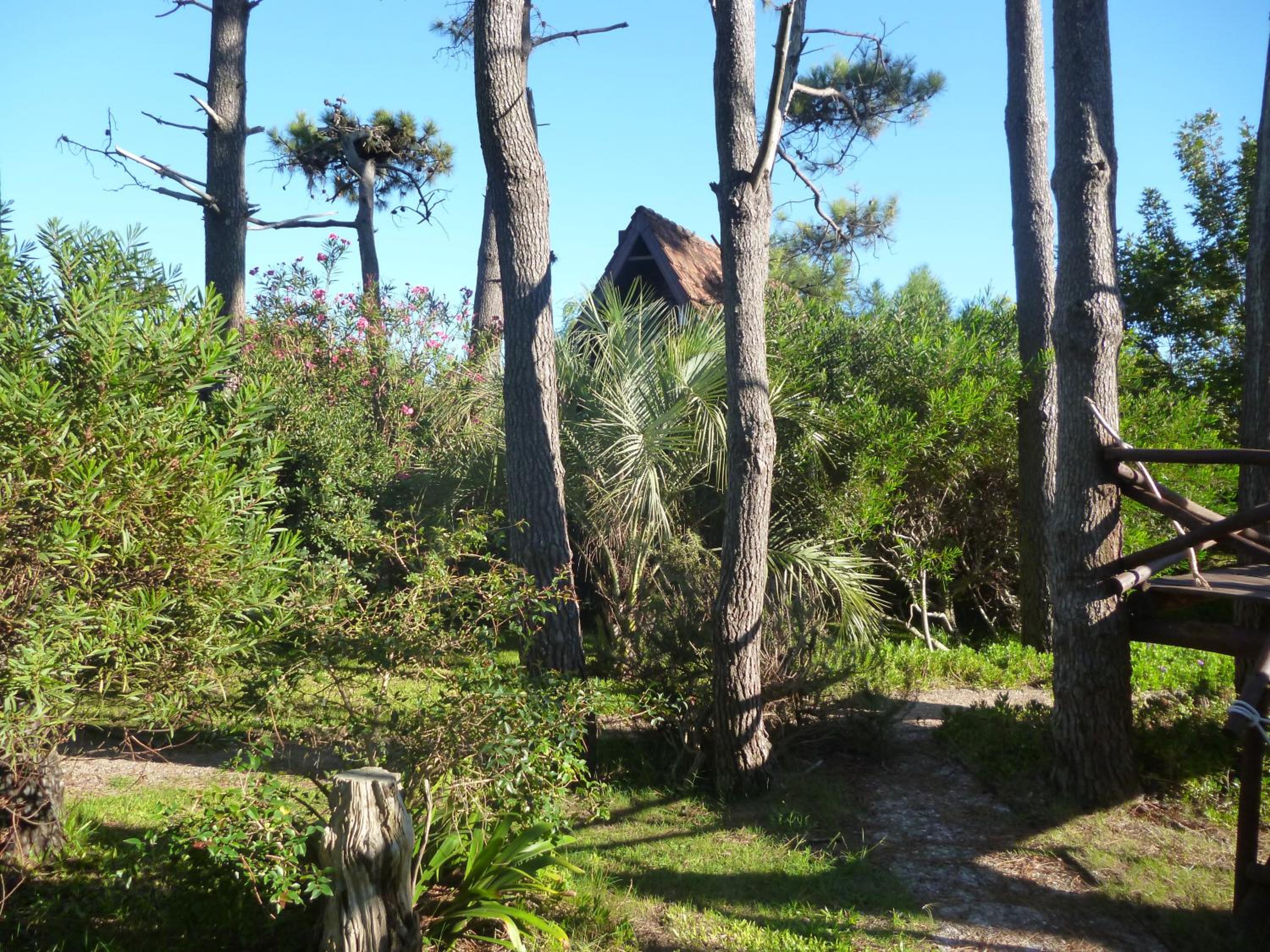 Photo 44