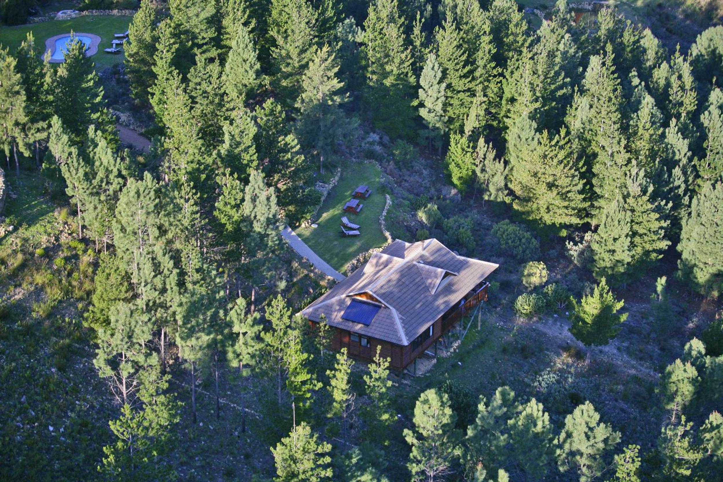 Photo 41