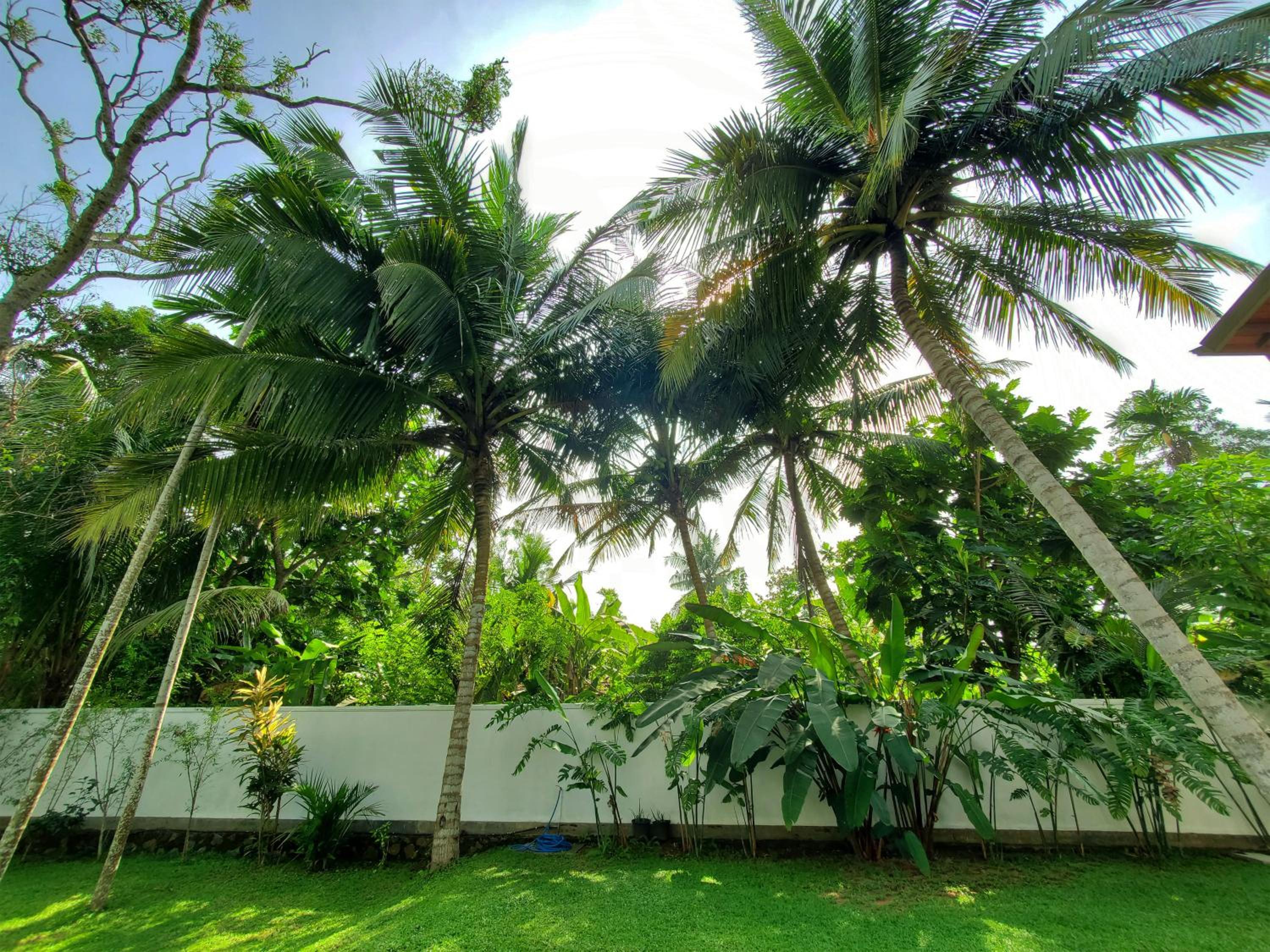 Villa Ema view 4