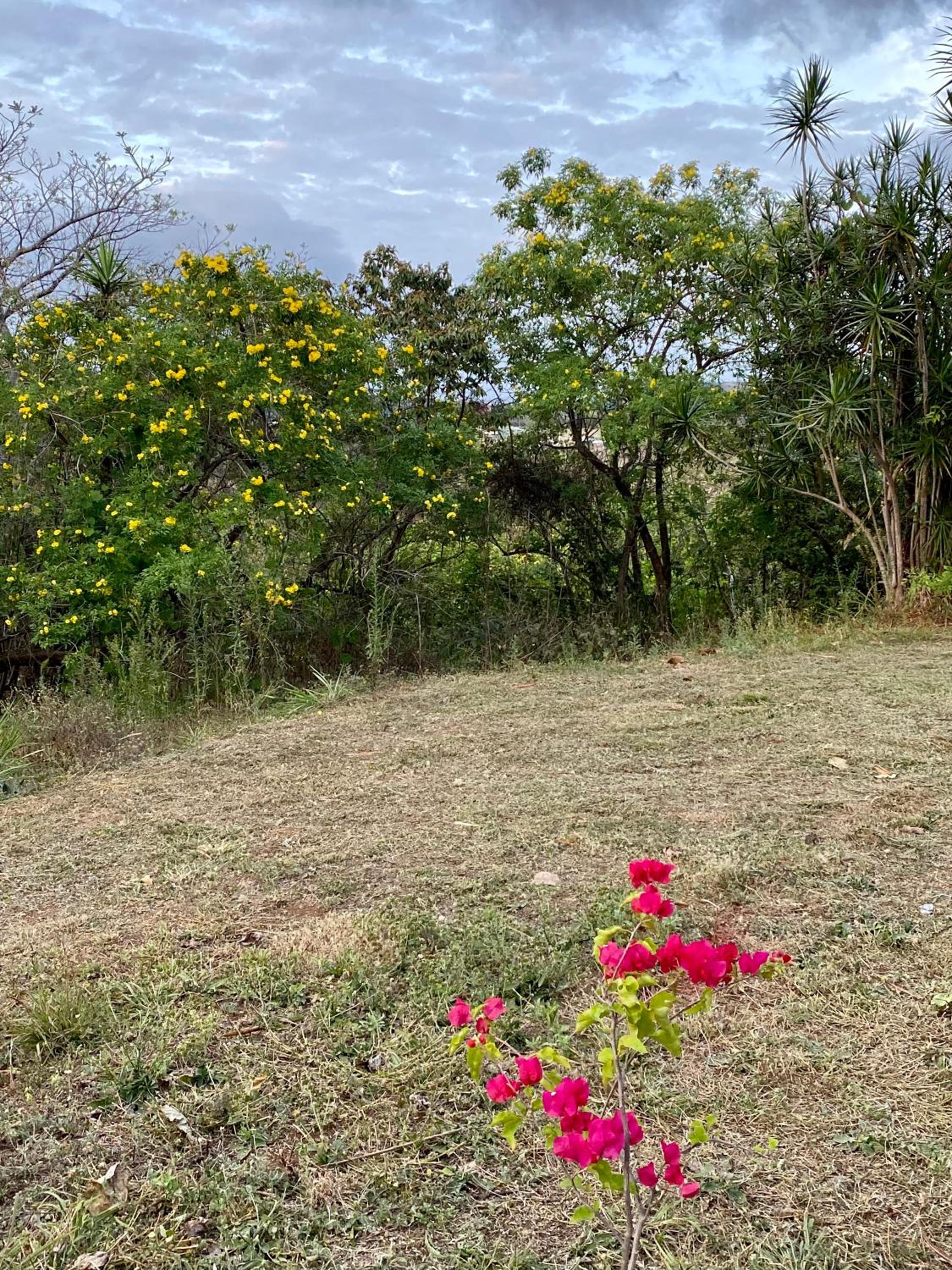 daBene - Bed & Breakfast
