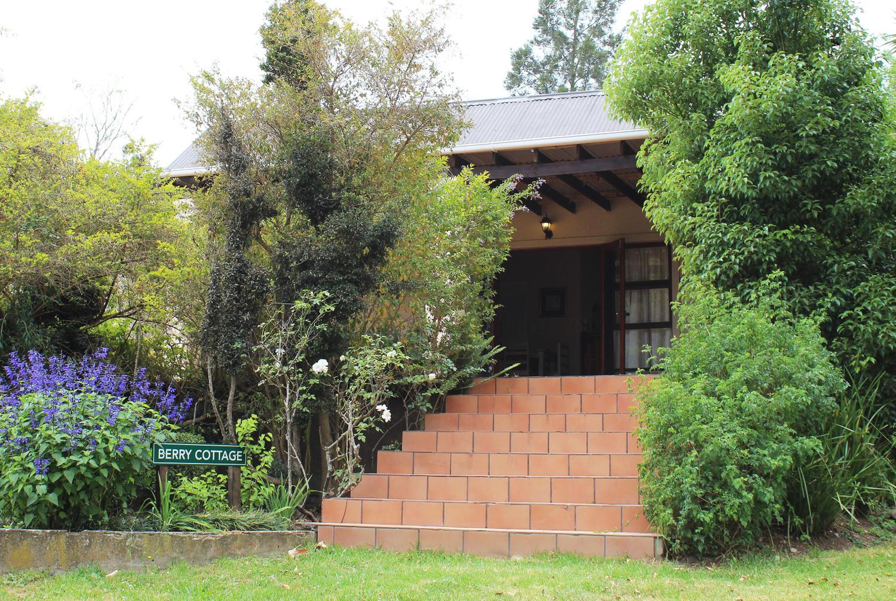 Wildebraam Berry Estate view 5