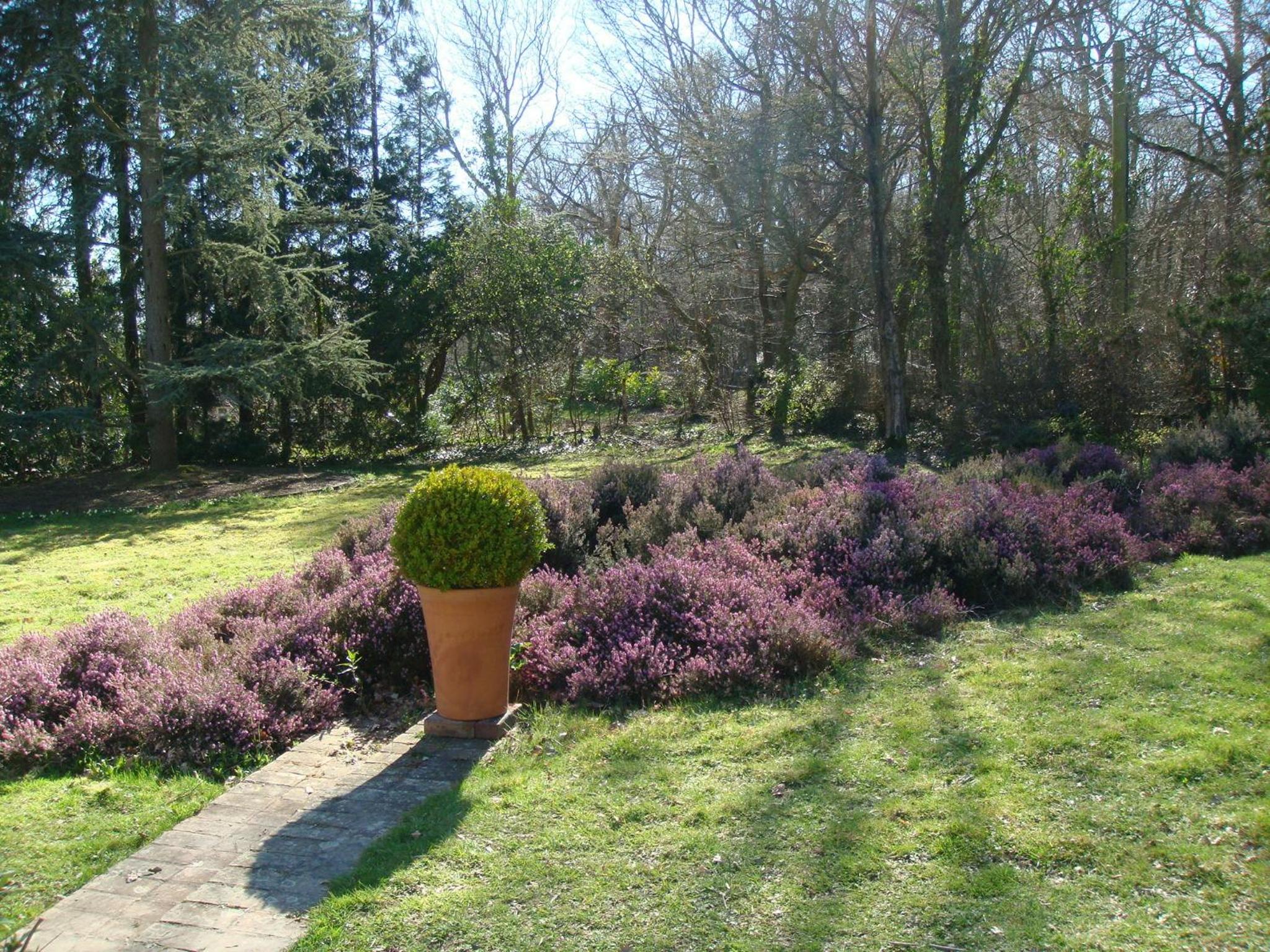 White Lodge B&B