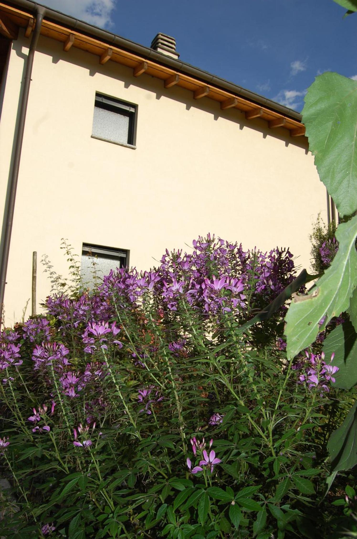 B&B Il Vigneto