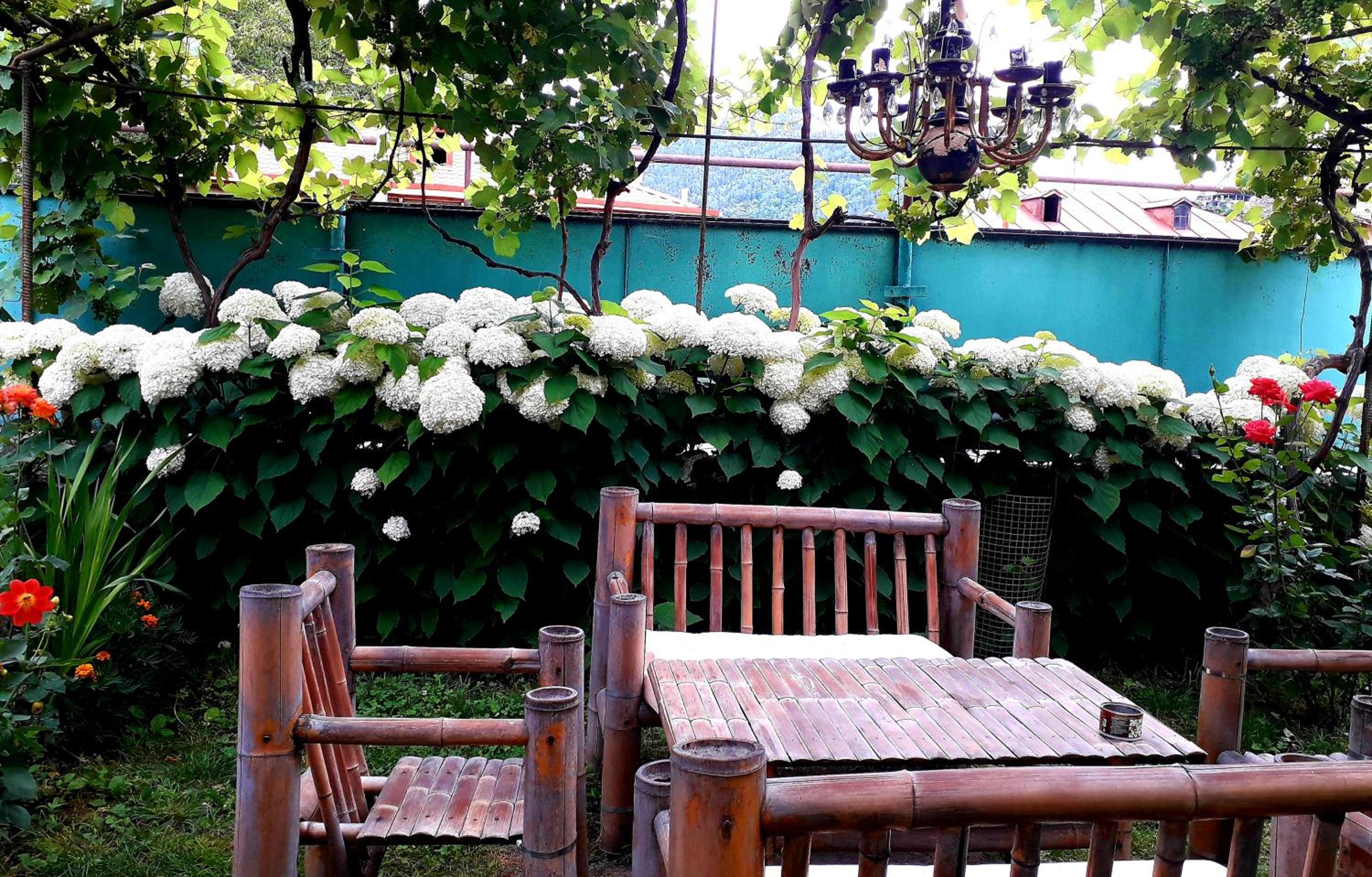 Guest House Metreveli