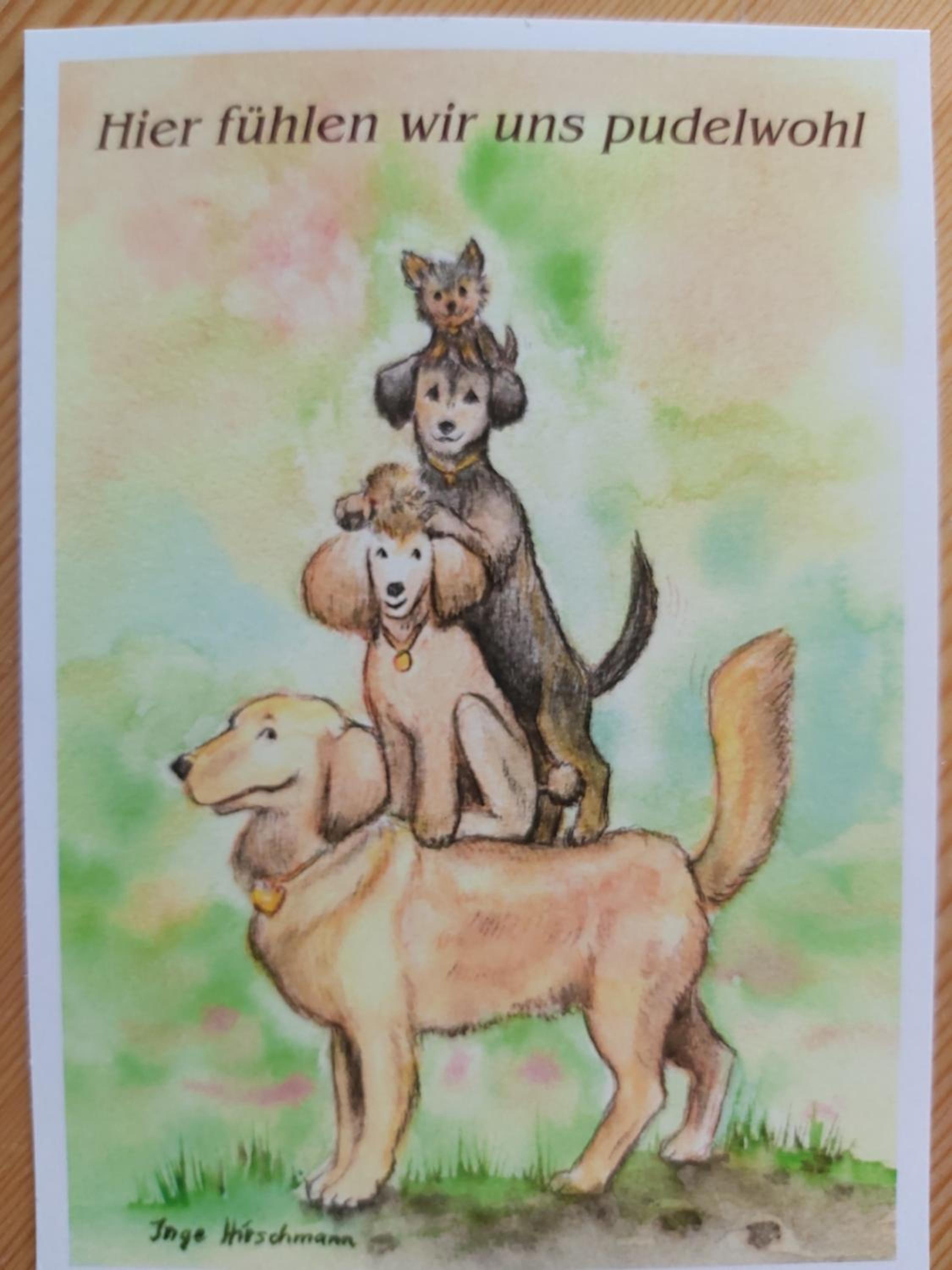 Photo 37