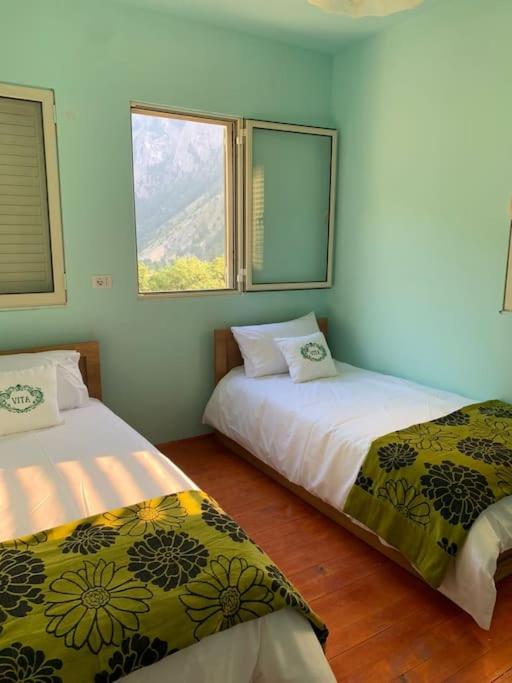 VITA Guesthouse