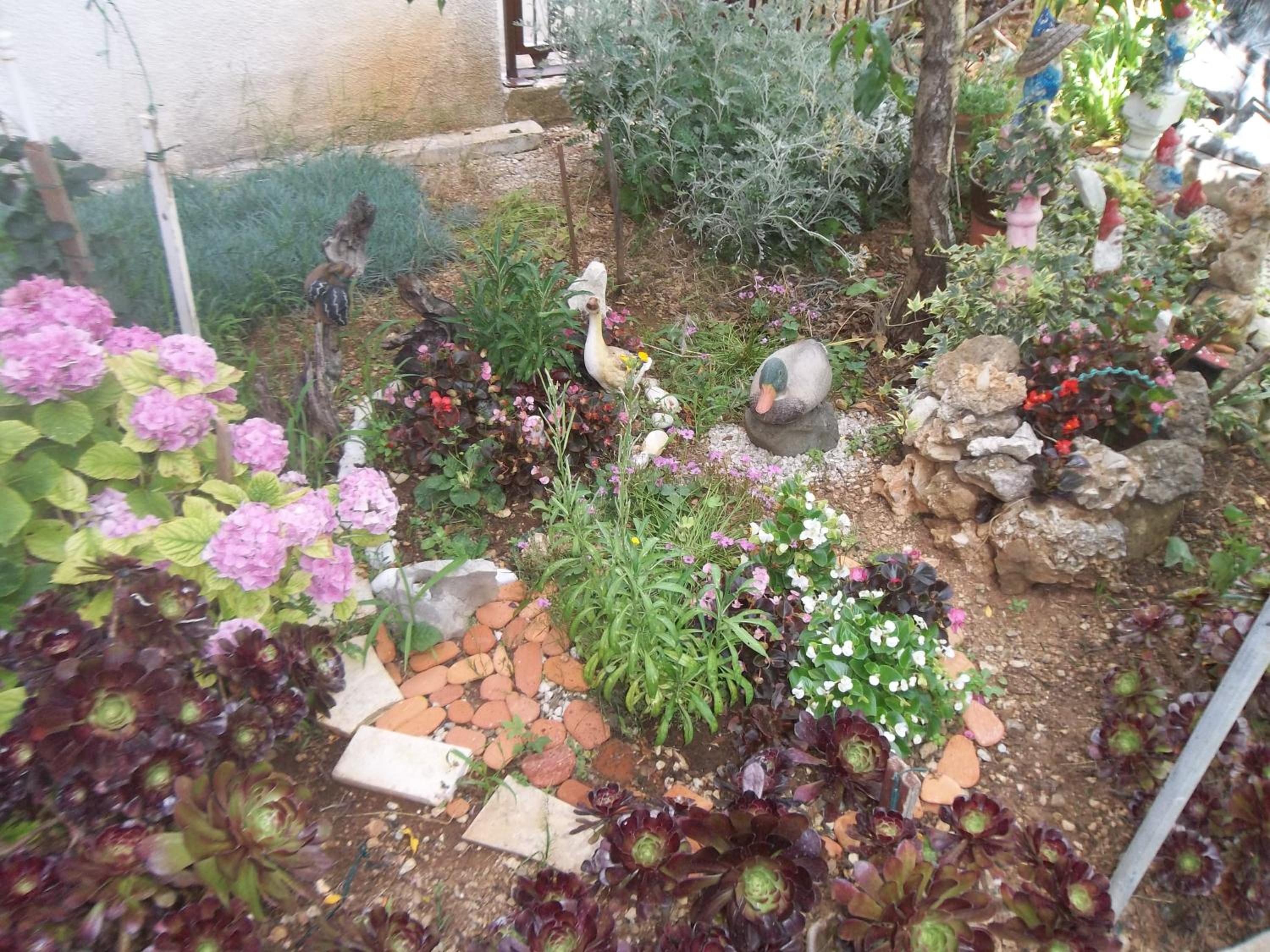 Apartman Antica