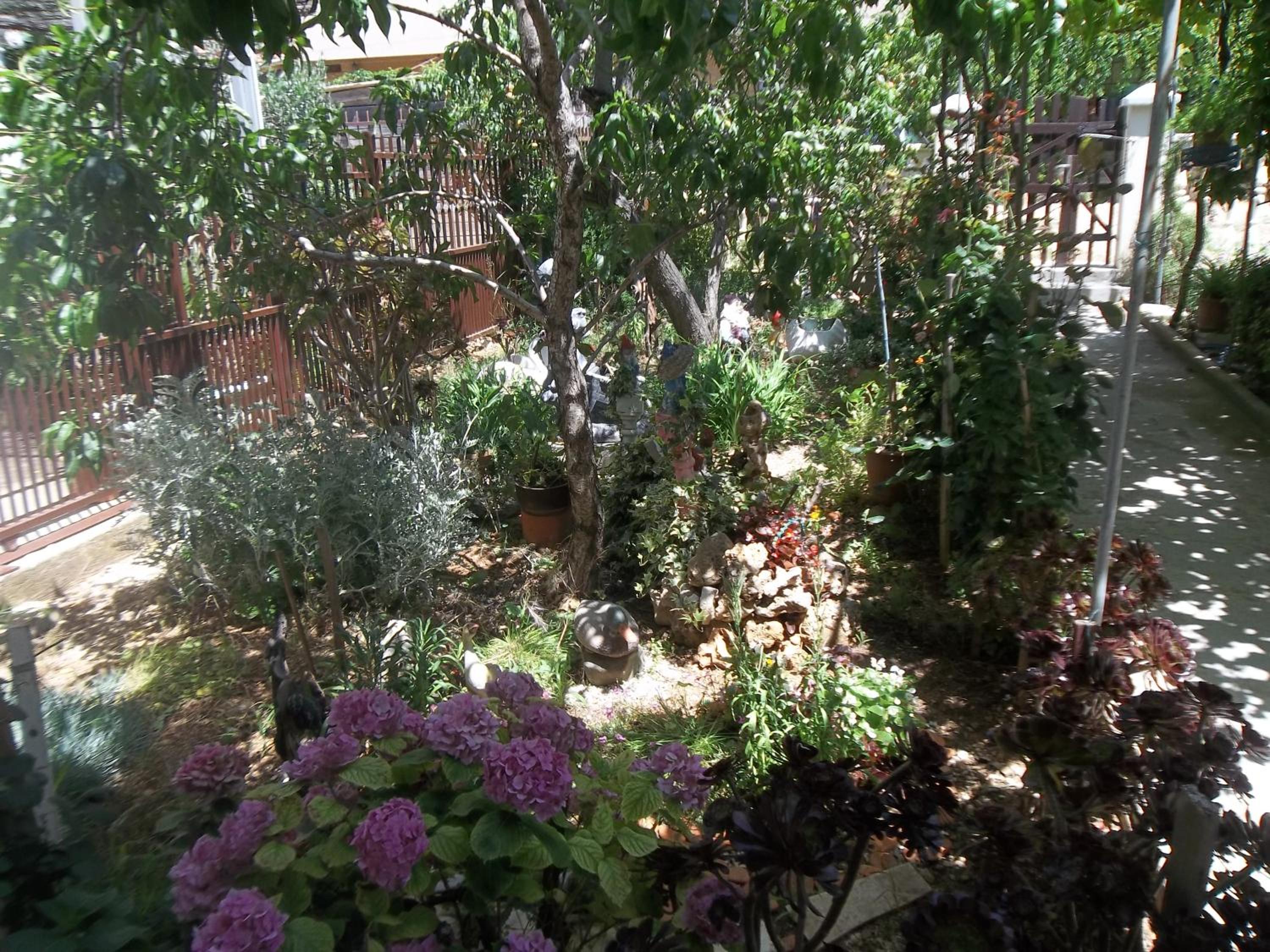 Apartman Antica