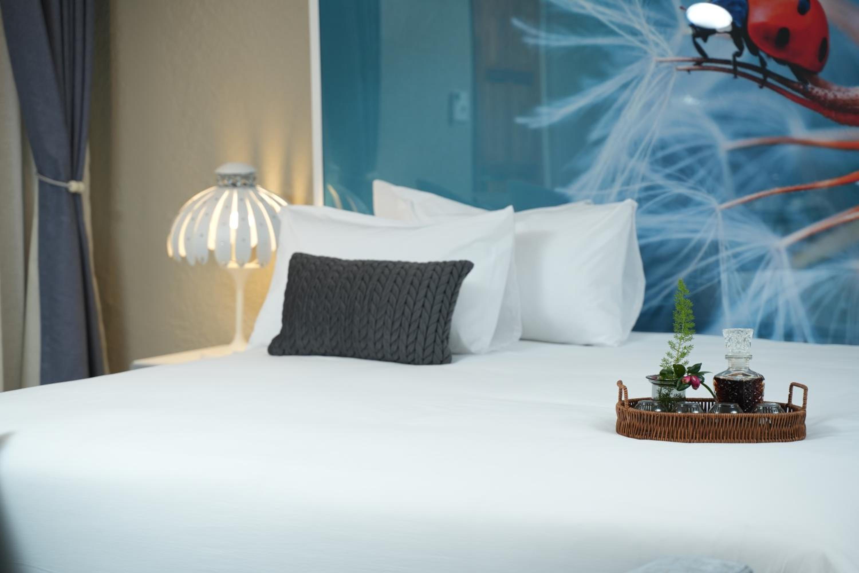 Jose Guesthouse
