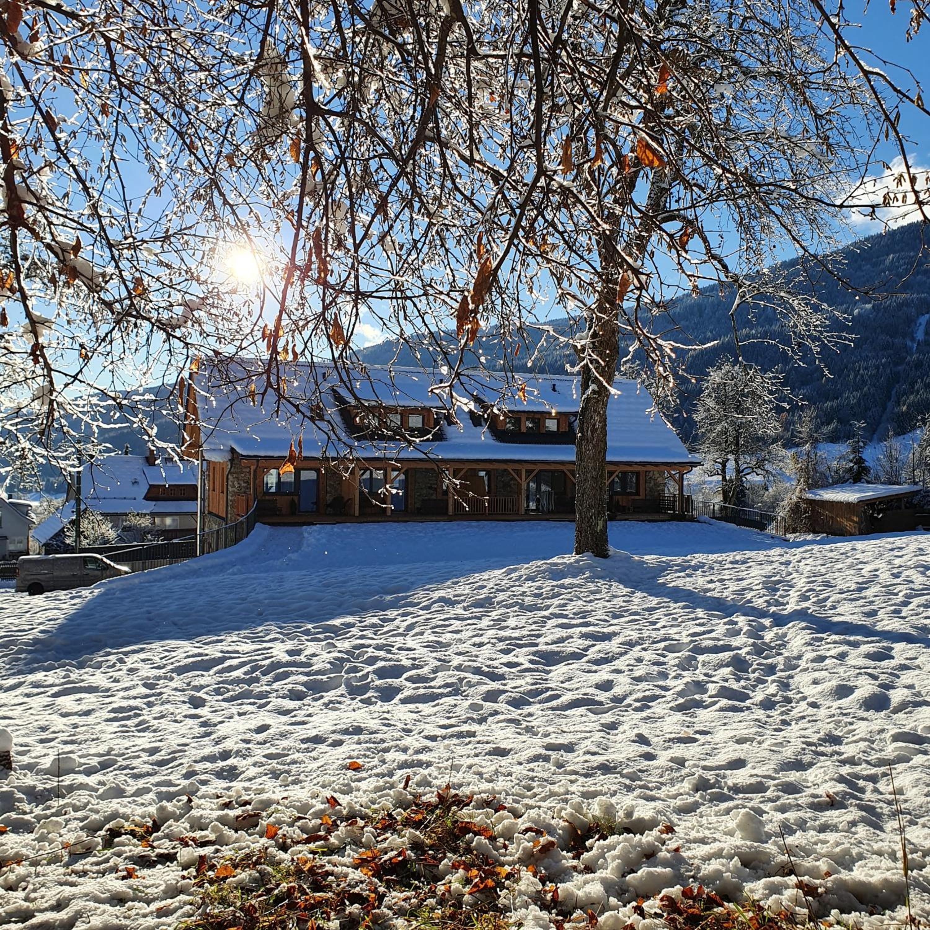 Nest Lodge view 2