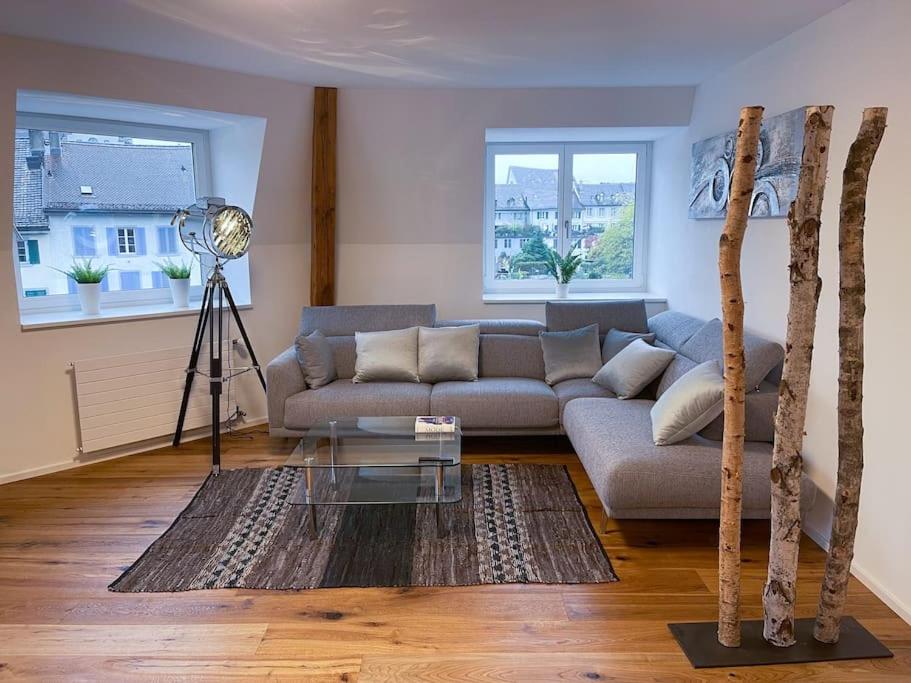 Schlossappartement Rapperswil view 5