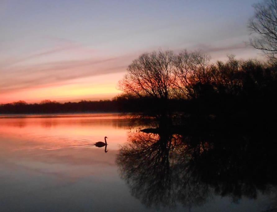 THE LAKE HOUSE: a delightful and peaceful retreat. view 2