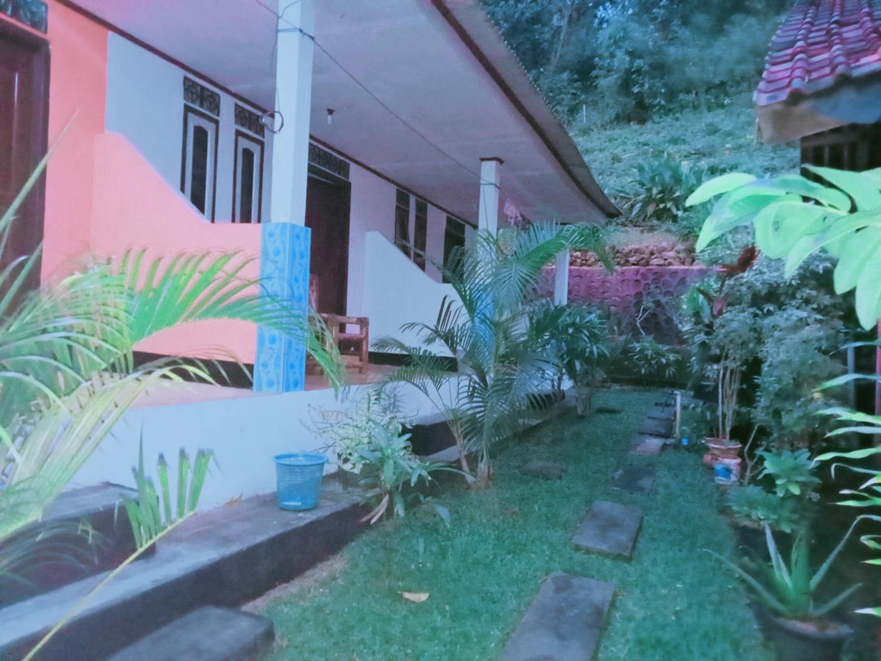Perwita Homestay view 4