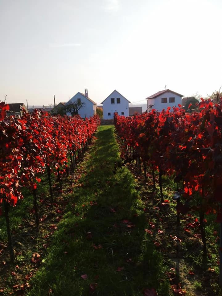 Vinoza - ubytování a vinný sklep Velké Bílovice Pod Vinicí