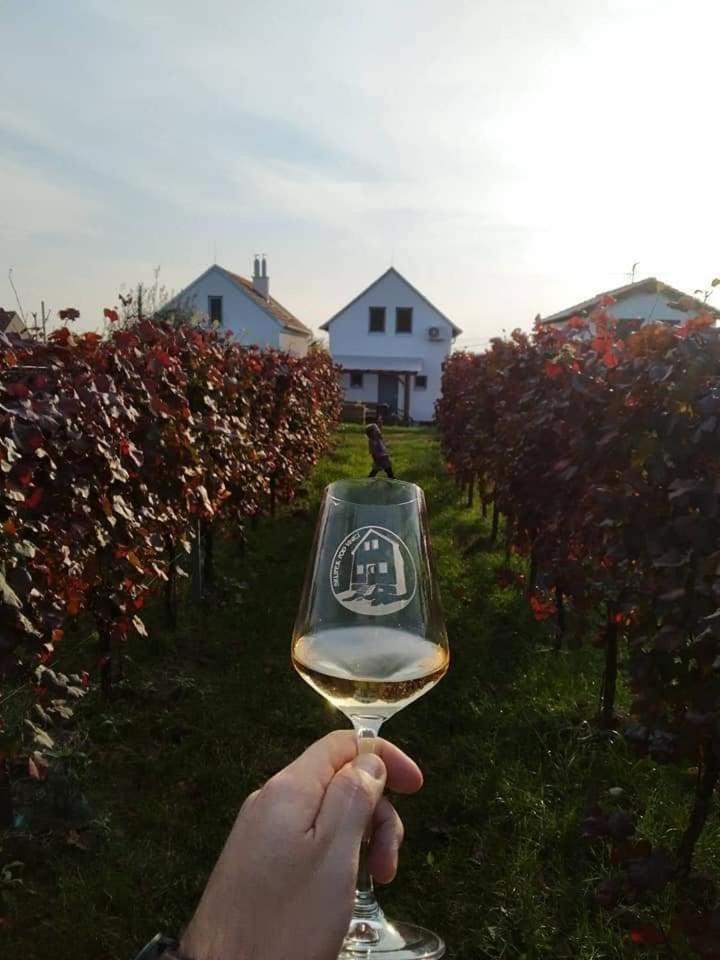 Vinoza - ubytování a vinný sklep Velké Bílovice Pod Vinicí