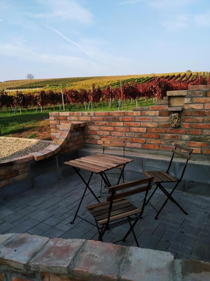 Vinoza - ubytování a vinný sklep Velké Bílovice Pod Vinicí