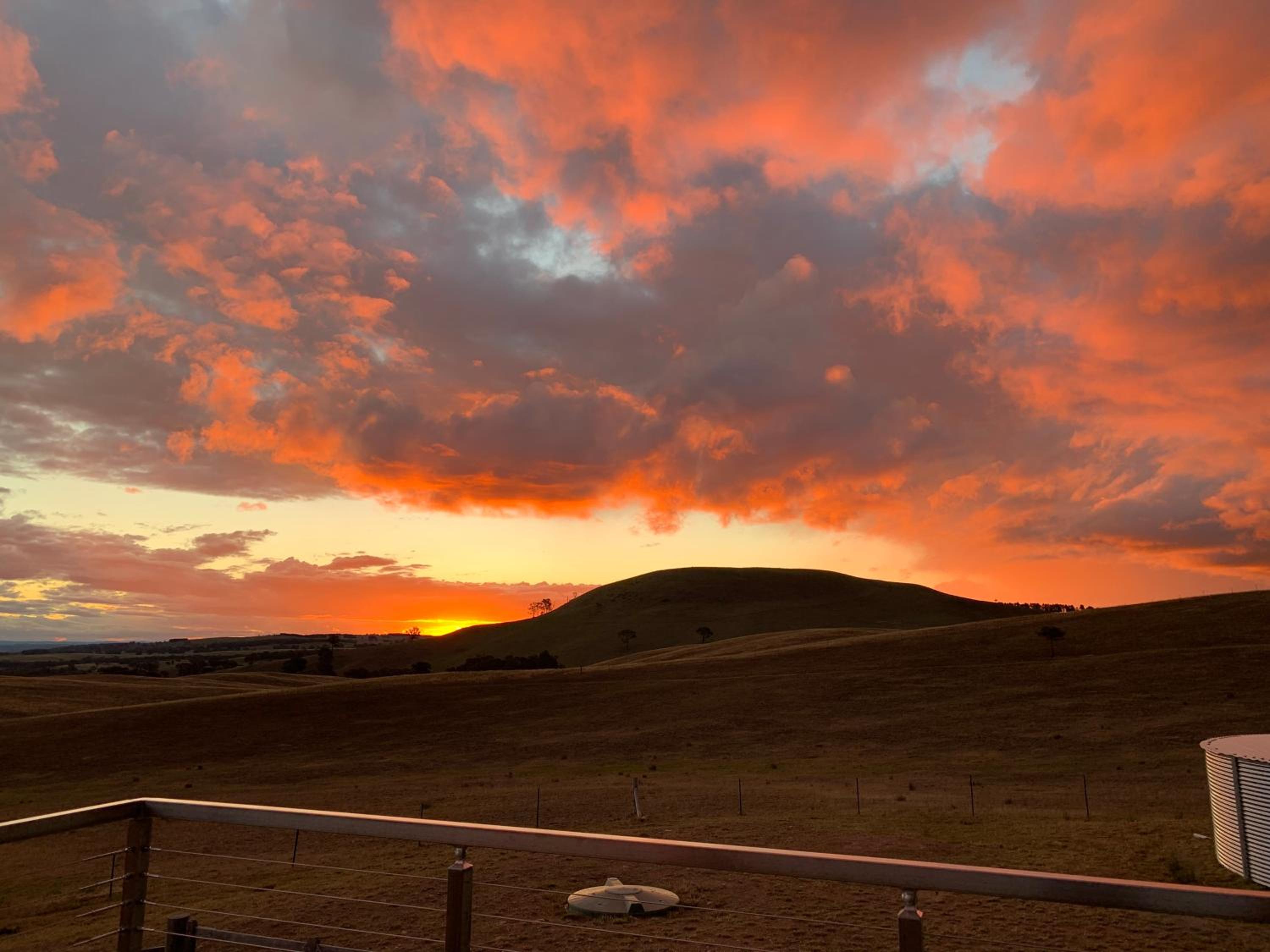 GOULBURN ALPACA FARM STAY