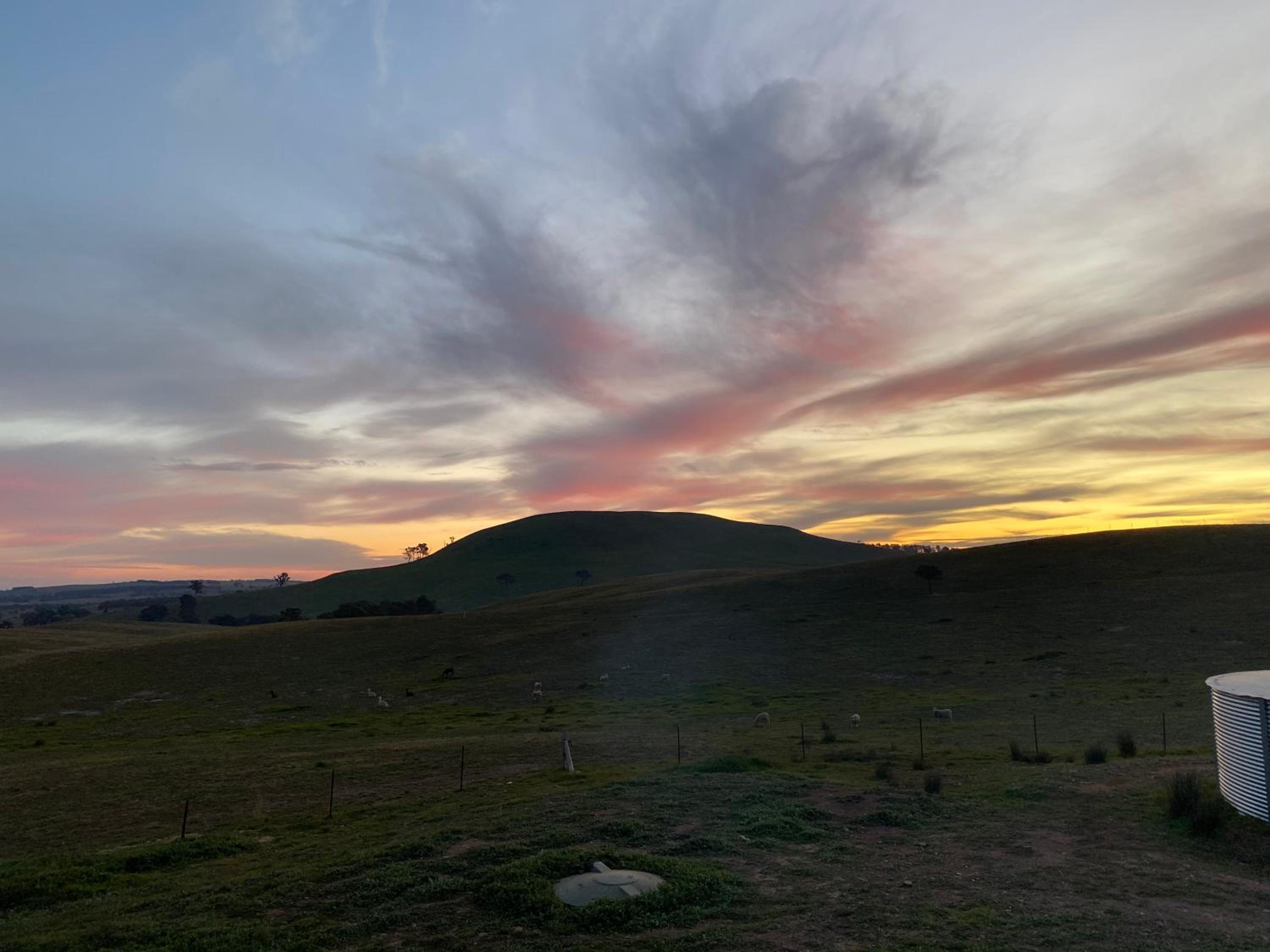 GOULBURN ALPACA FARM STAY