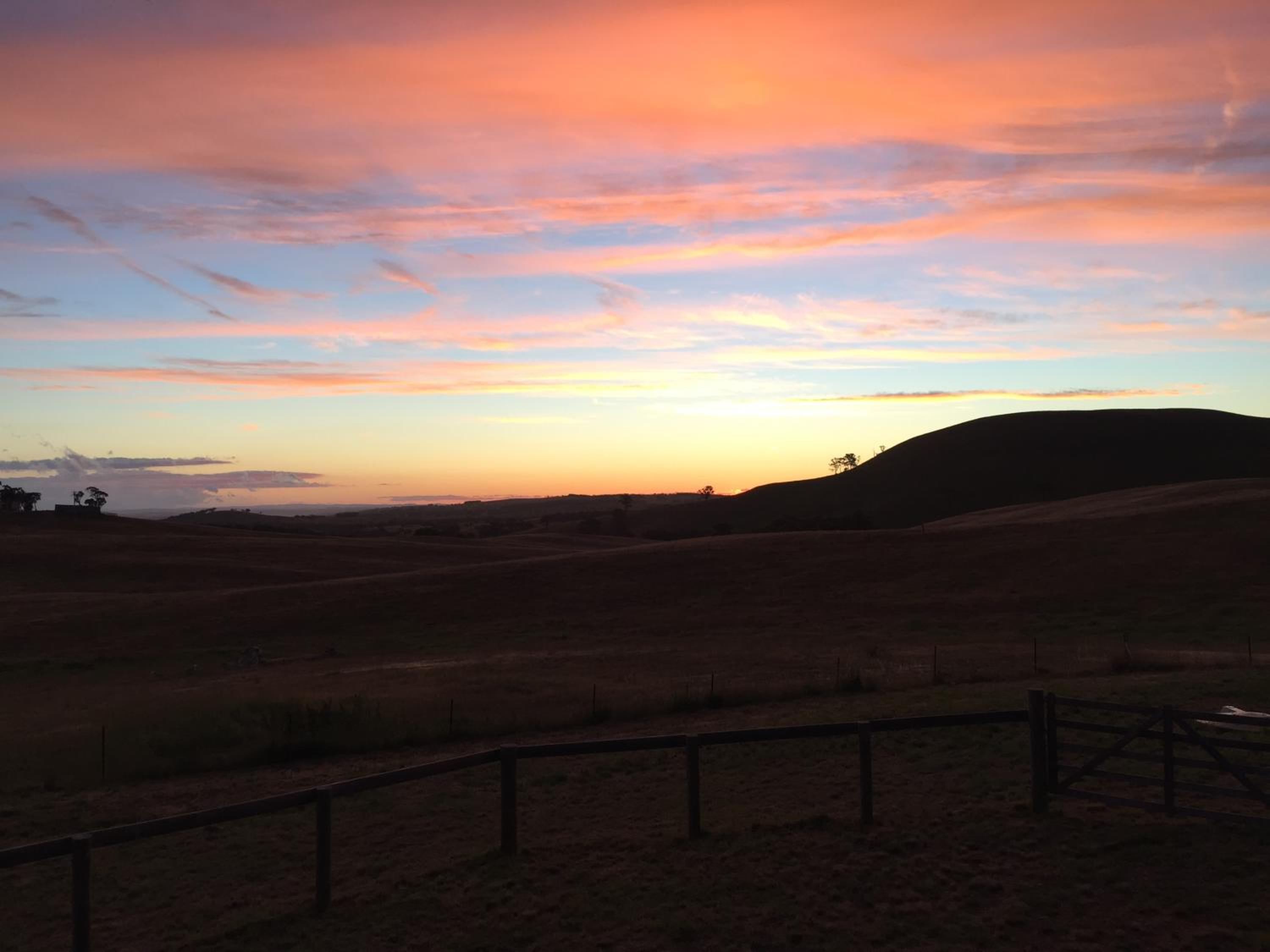 GOULBURN ALPACA FARM STAY