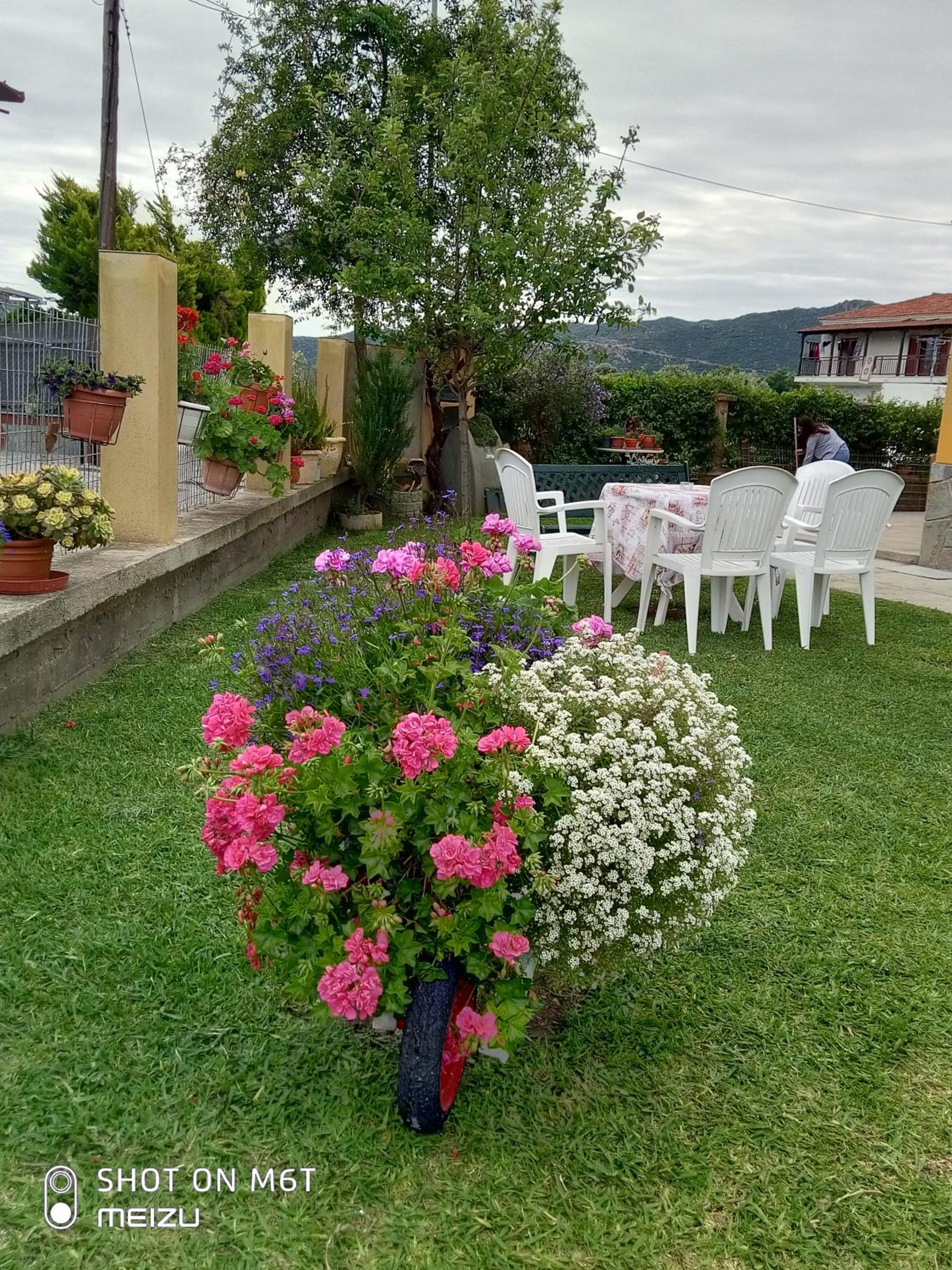 Photo 16