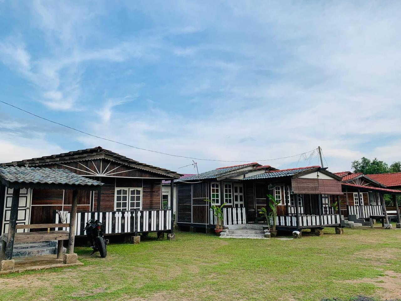 MOSS HEDERA HIDE CHALET photo 5