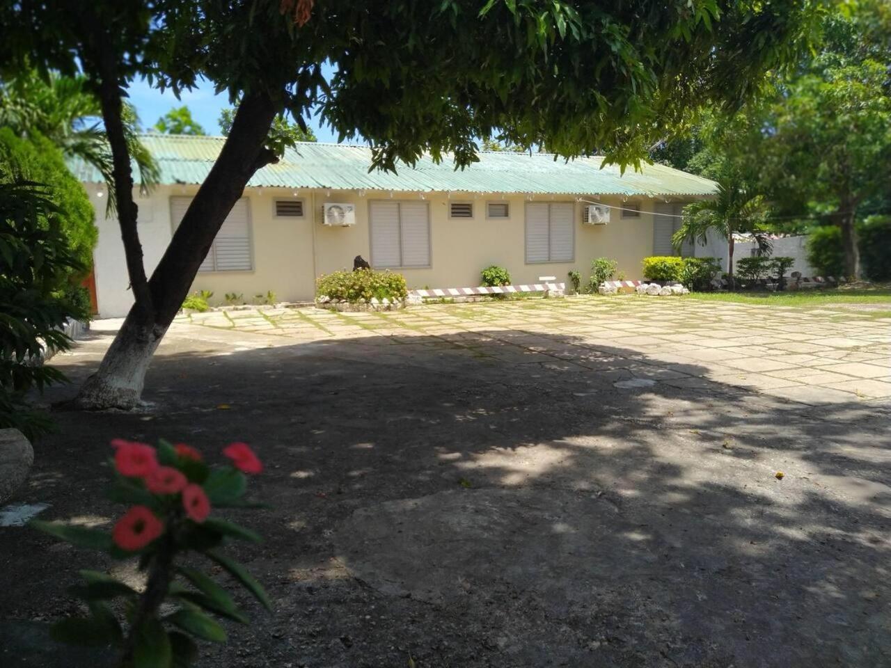 Photo 8