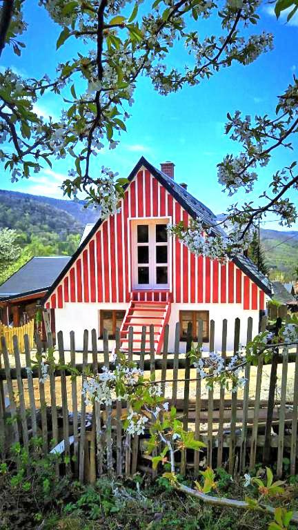 Apartmán u Potoka