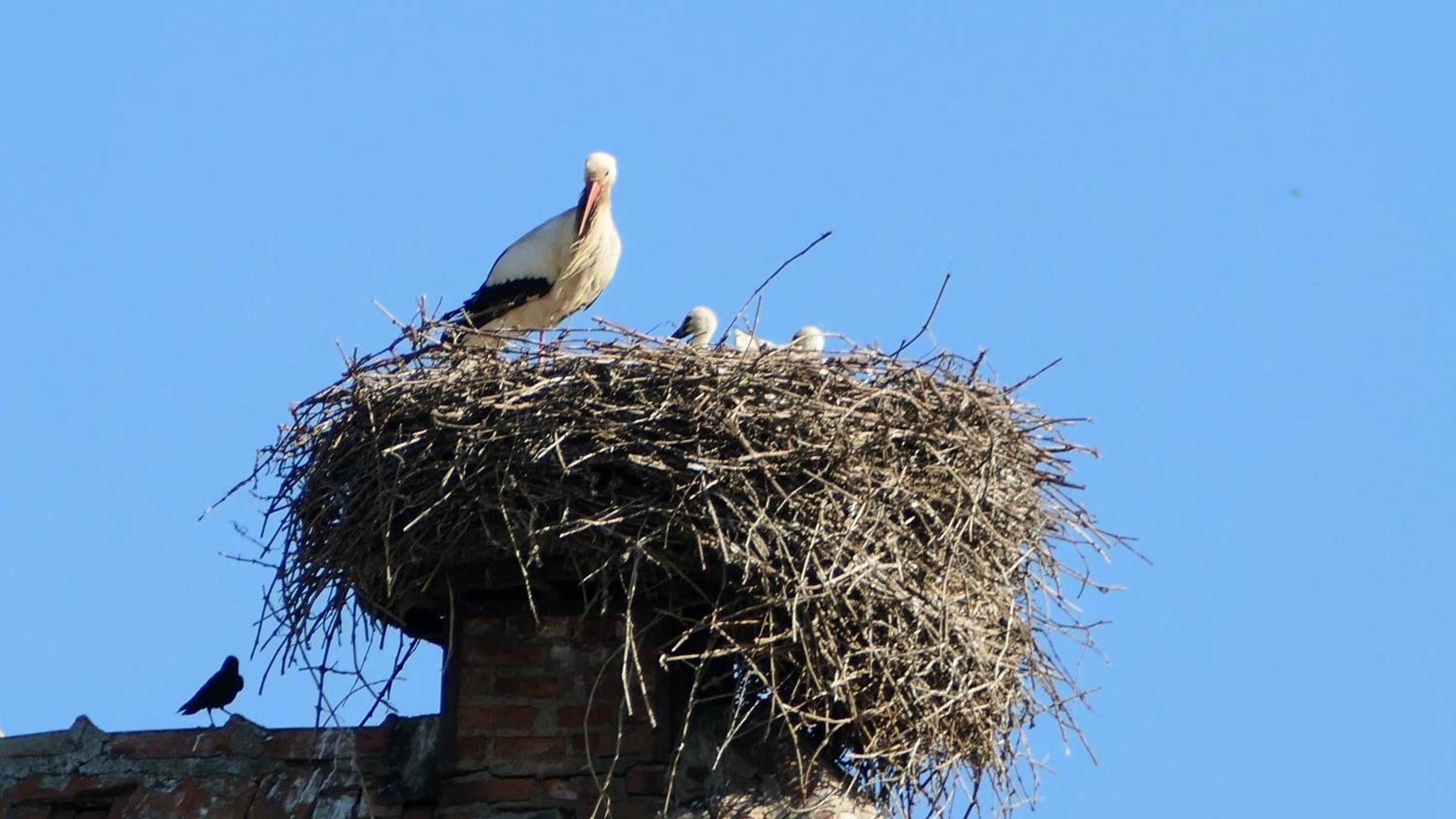 Un balcon sur les toits